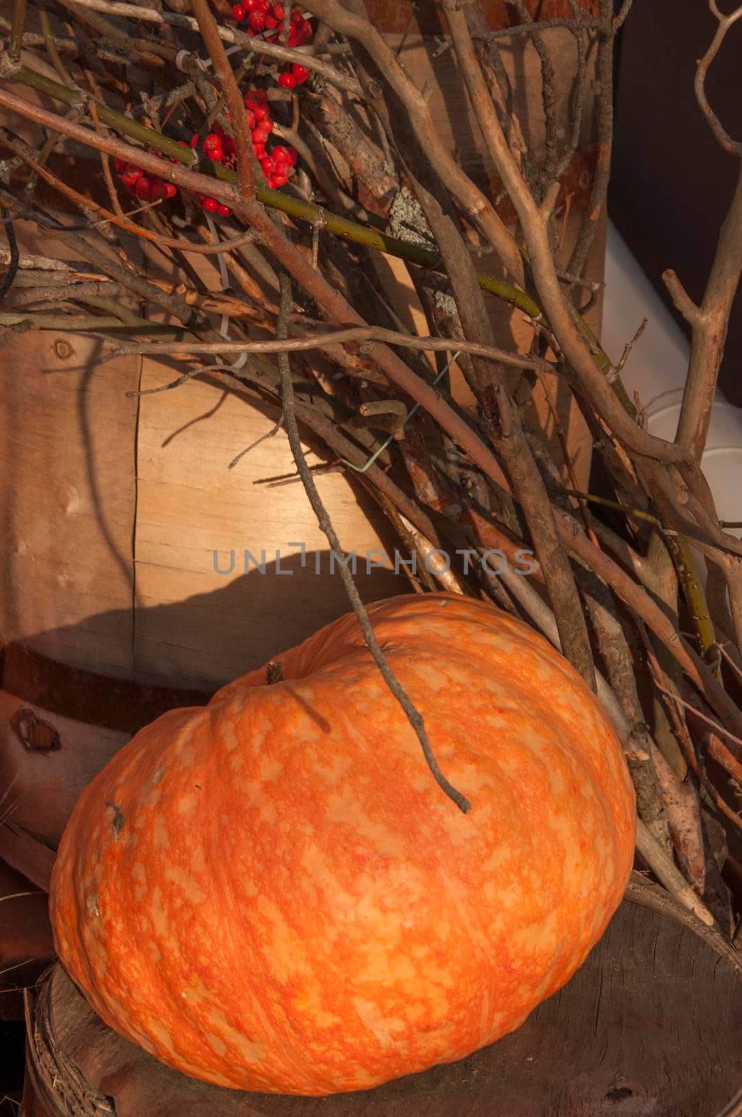 Autumn background. Ripe pumpkins  on wooden background. Thanksgiving and halloween concept. by inxti
