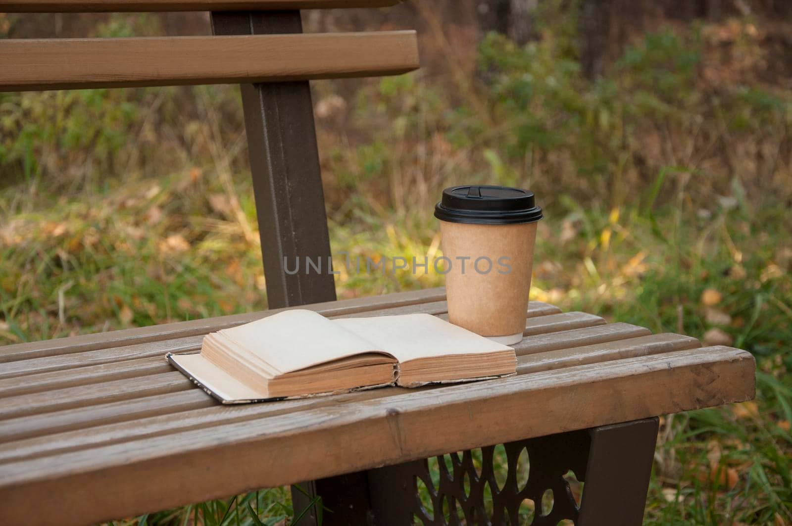 book on a wooden bench in a park in autumn, next to a paper mug