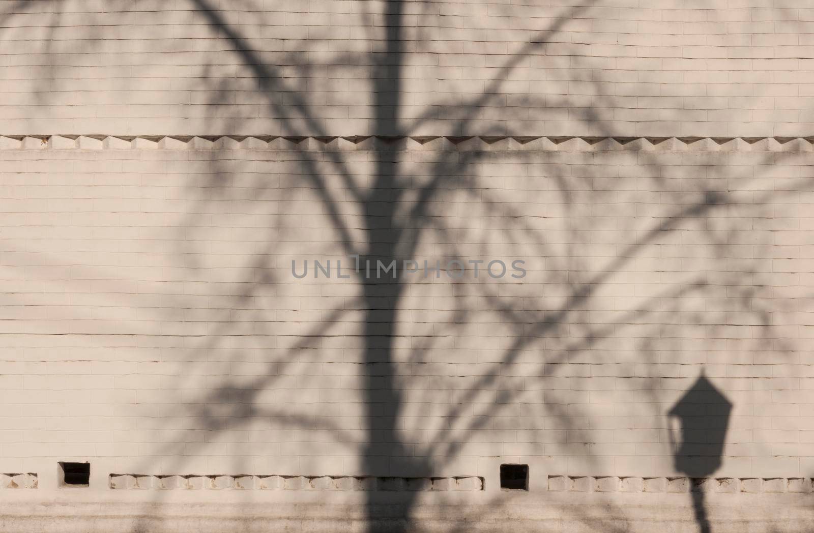 Lantern and tree shadows on the brick wall by inxti