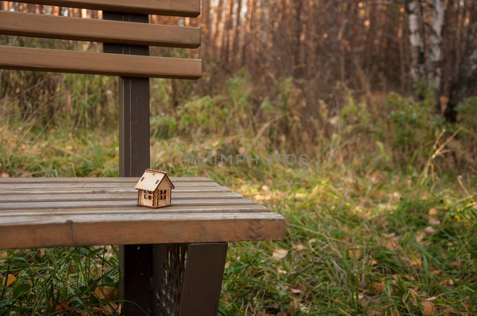 Symbol of the house stands among the fallen autumn leaves in park bench by inxti