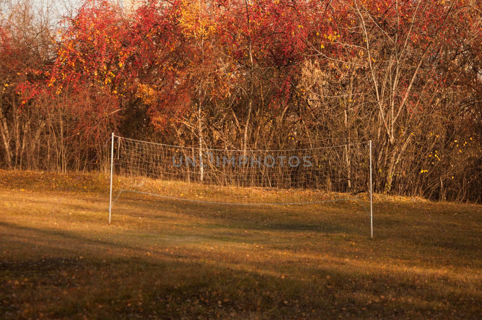 Sport area in the forest by inxti