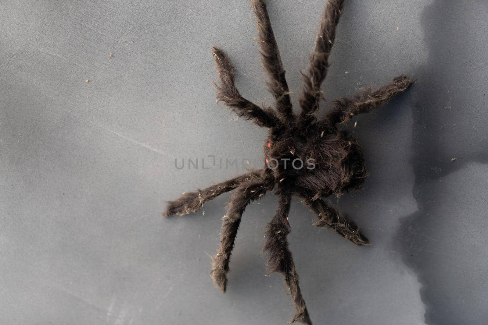 Artificial Big Black Spider Halloween Background With Copy Space