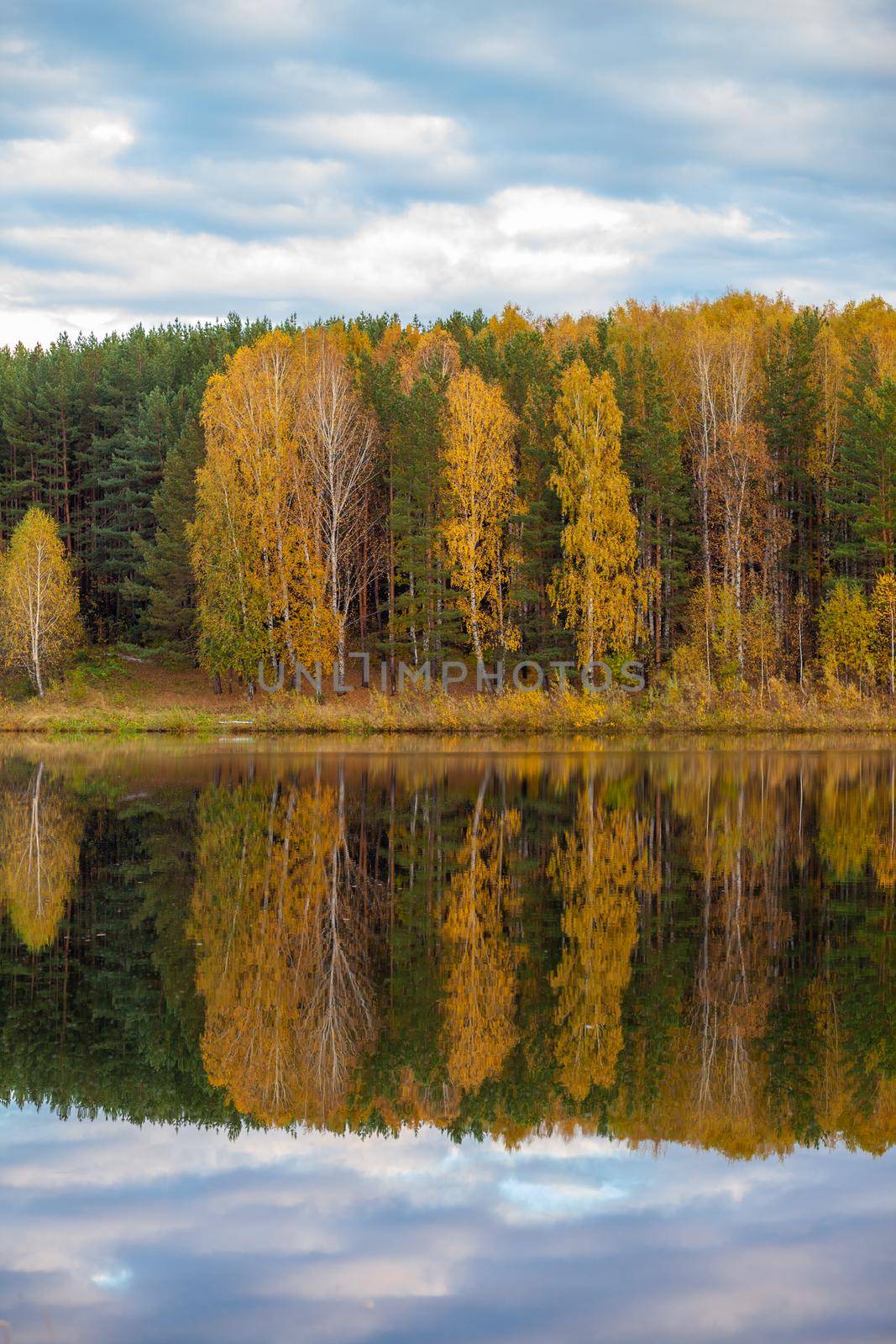 Colorful foliage tree reflections in calm pond water on a beautiful autumn day. A quiet and beautiful place to relax.