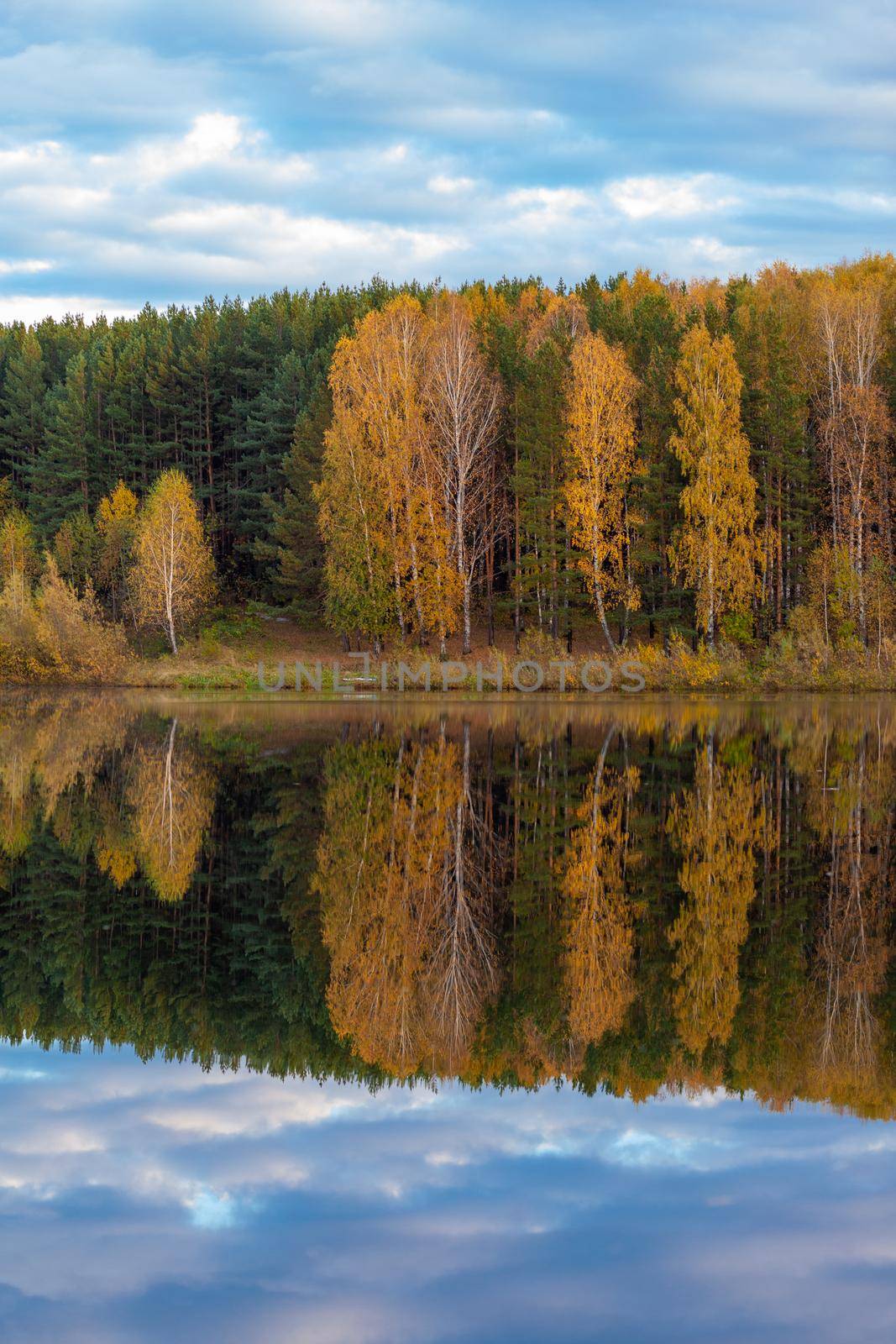 Colorful foliage tree reflections in calm pond water on autumn day. by AnatoliiFoto