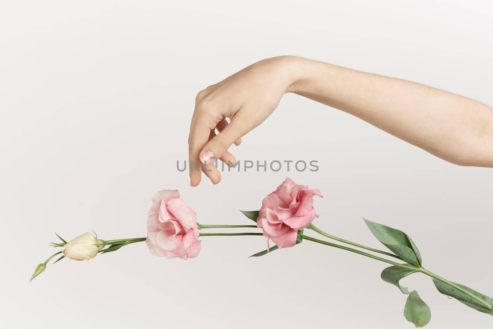 female hand flowers decoration fashion light background. High quality photo