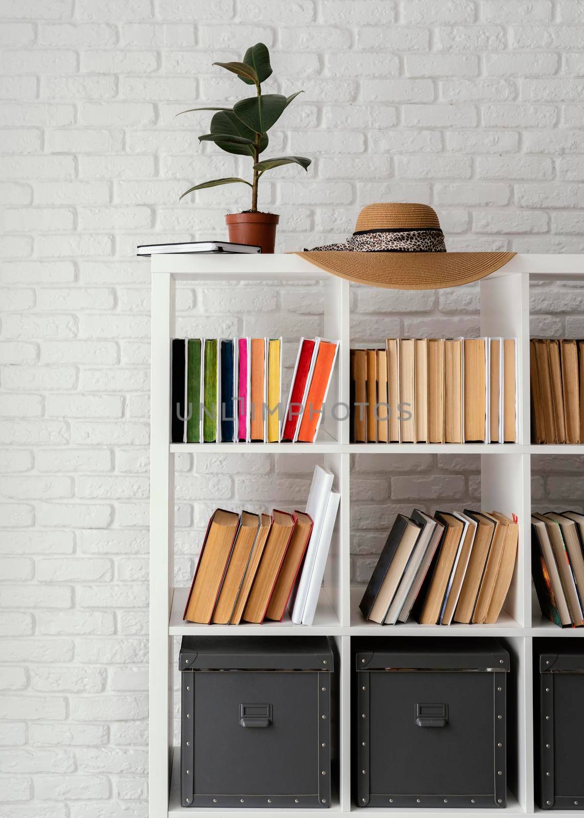 bookshelf with plant hat. High quality photo by Zahard