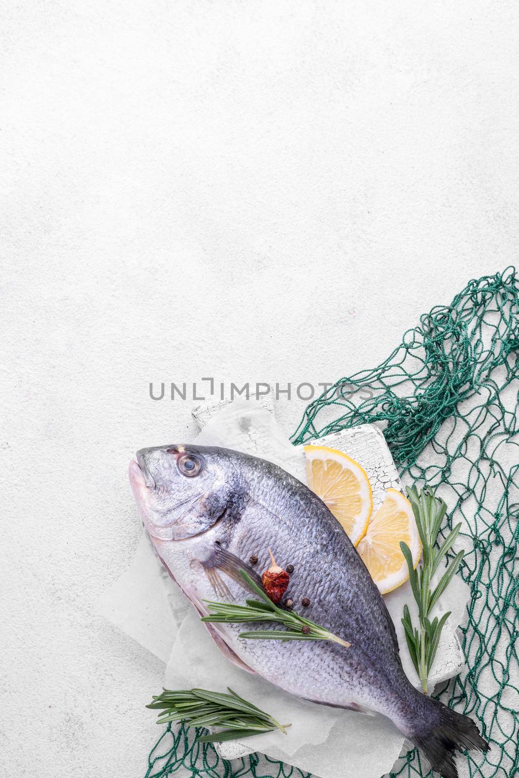 fresh sea bream fish green fish net. High quality photo by Zahard