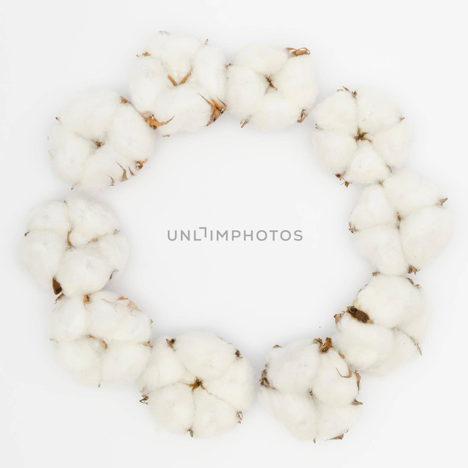 top view circular frame with white cotton flower. High resolution photo