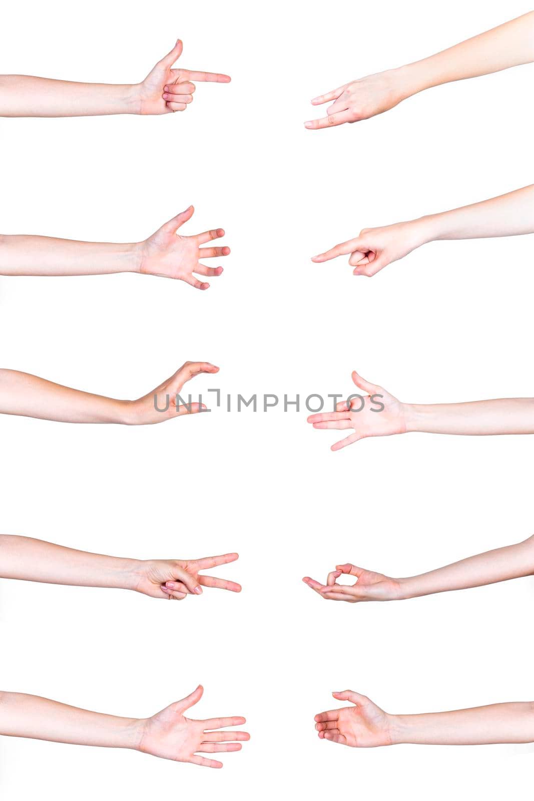 set human hands gesturing white background. High resolution photo