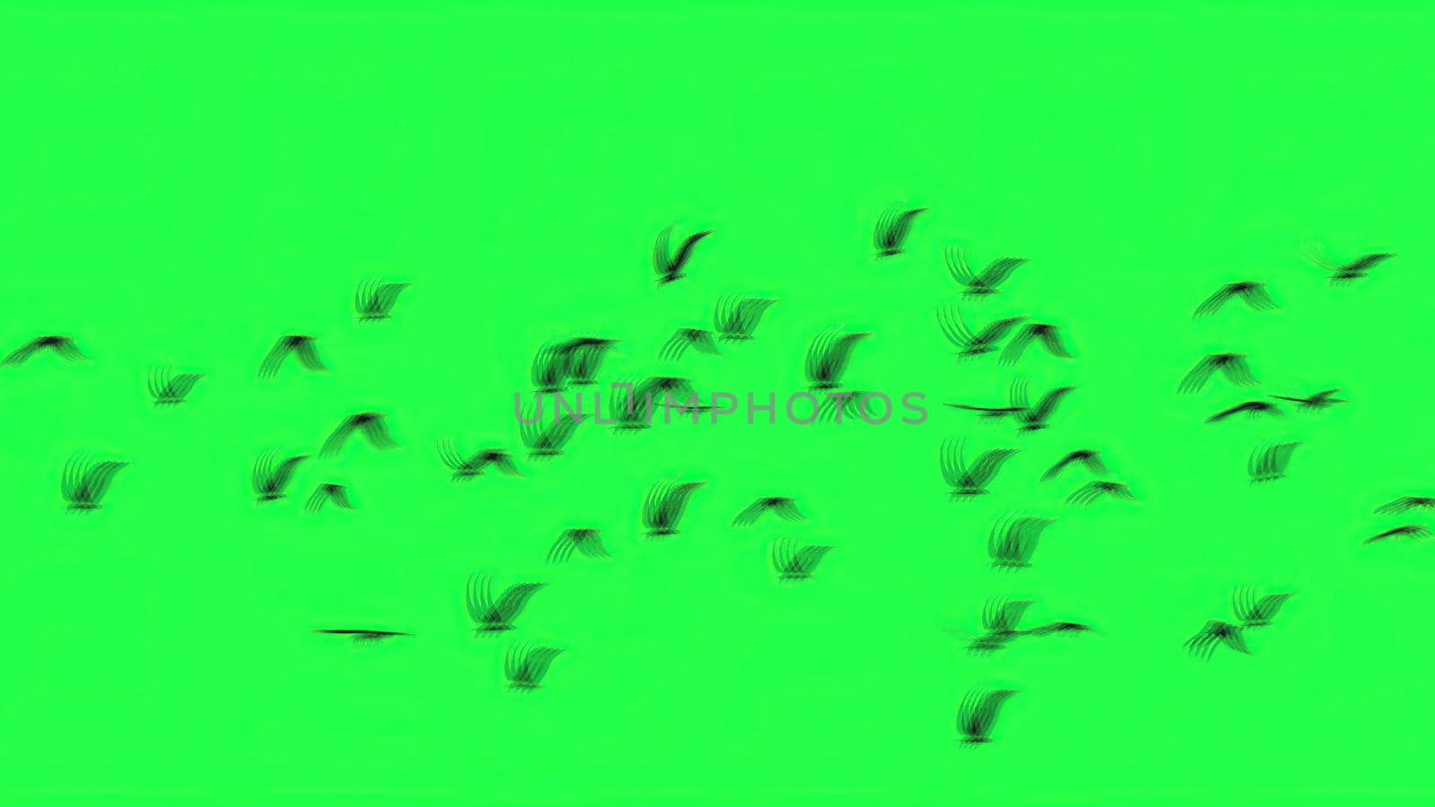 3d illustration - Group of birds with isolated sky on green screen 