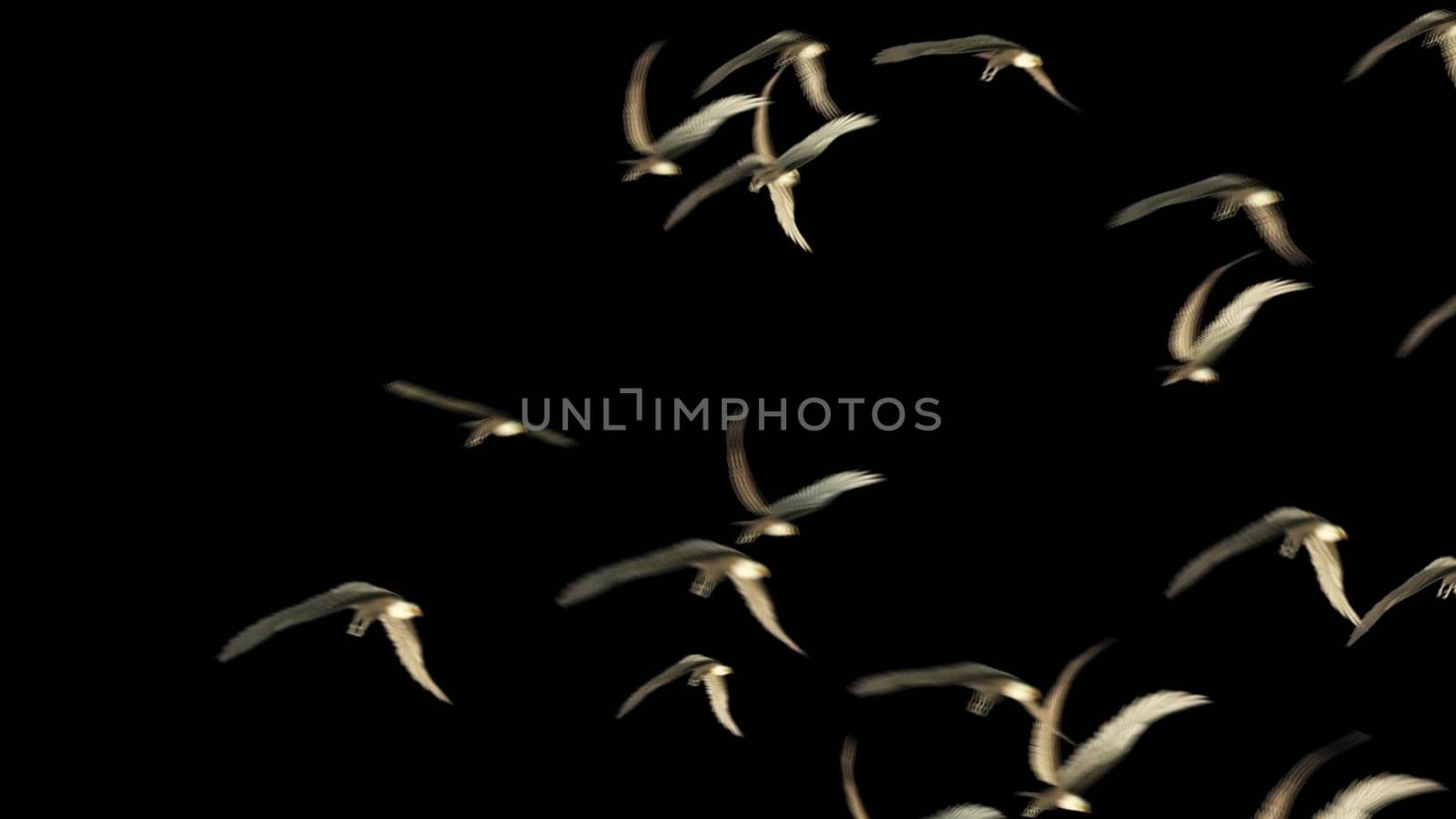 3d illustration - Group of birds with isolated sky by vitanovski