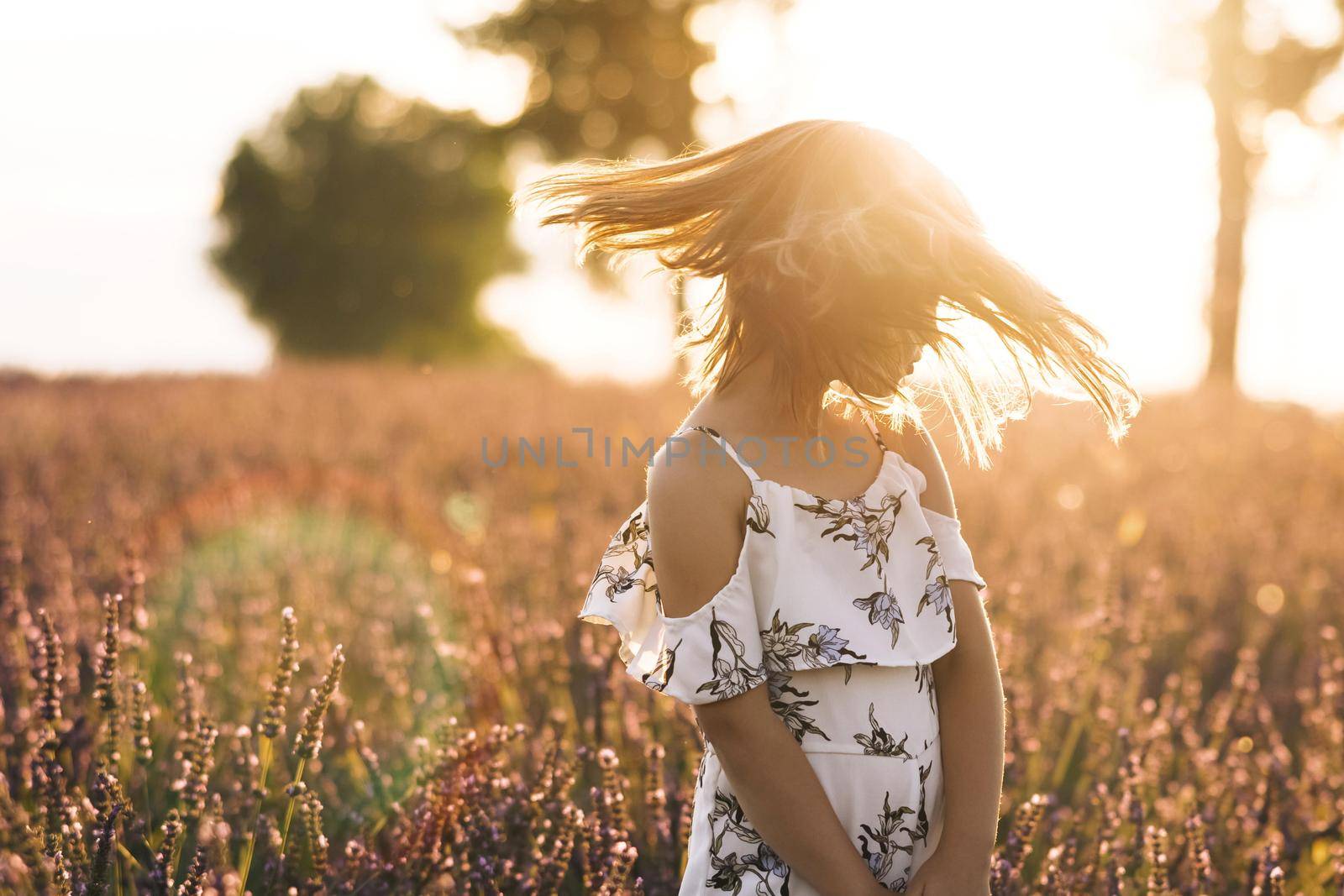 Lavender field, France, Provence, beautiful little girl. Girl in a white dress in a field of lavender. Smiling girl sniffing flowers in a lavender field