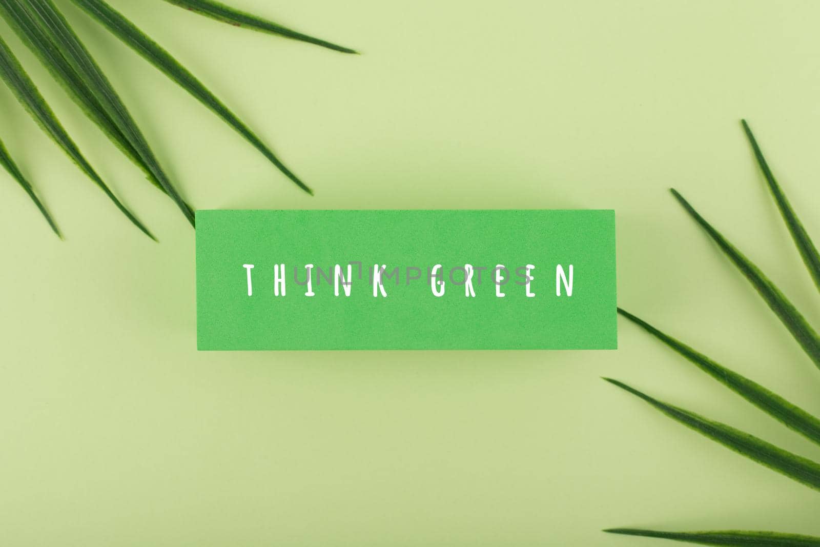 Green marketing minimal concept on bright green background decorated with palm leaves by Senorina_Irina