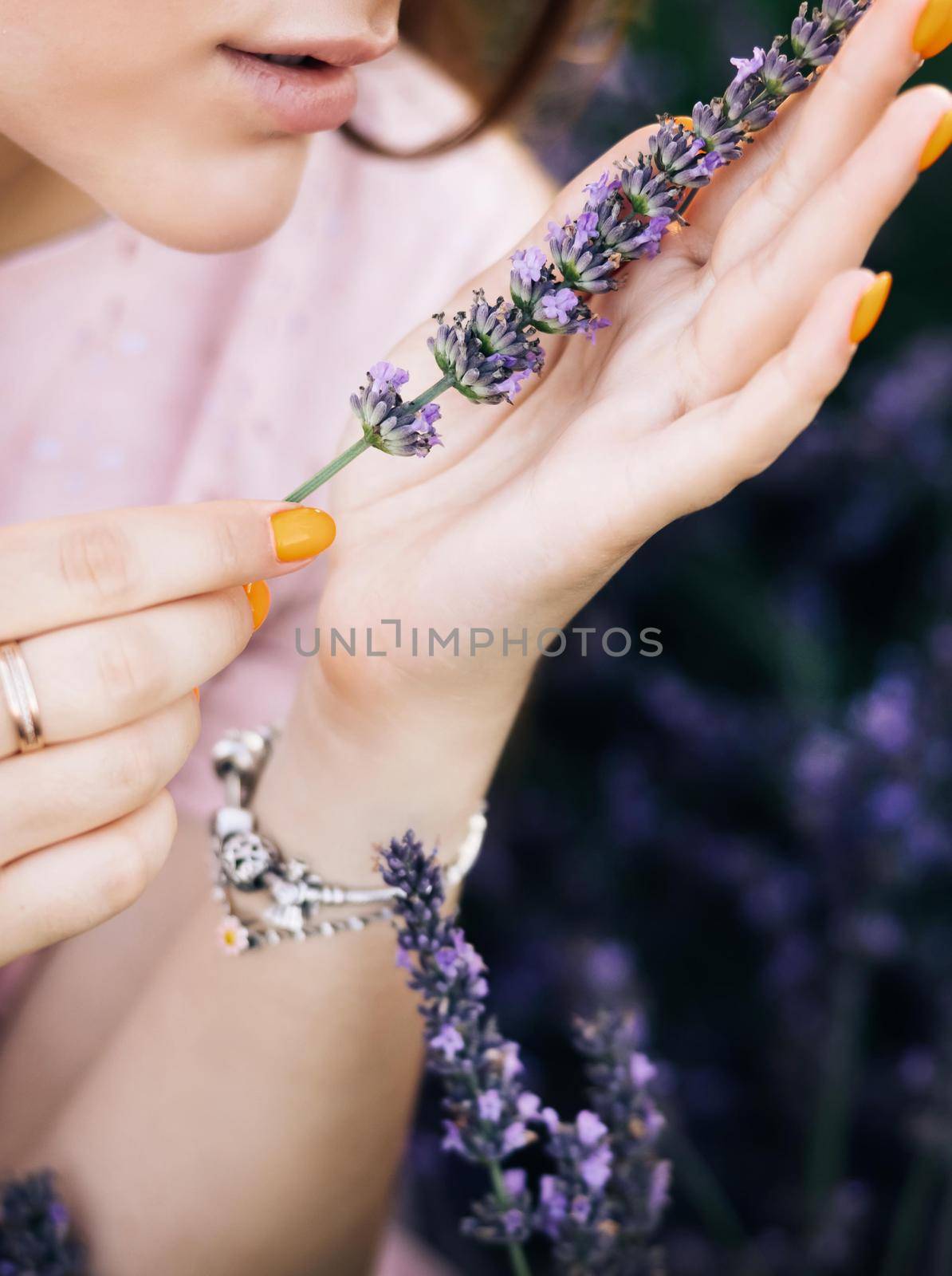 Girl hand holding beautiful lavender flowers in sunny light in meadow. Aroma herbs. Atmospheric calm rural image. Woman hand holding a bouquet of summer flowers. by uflypro
