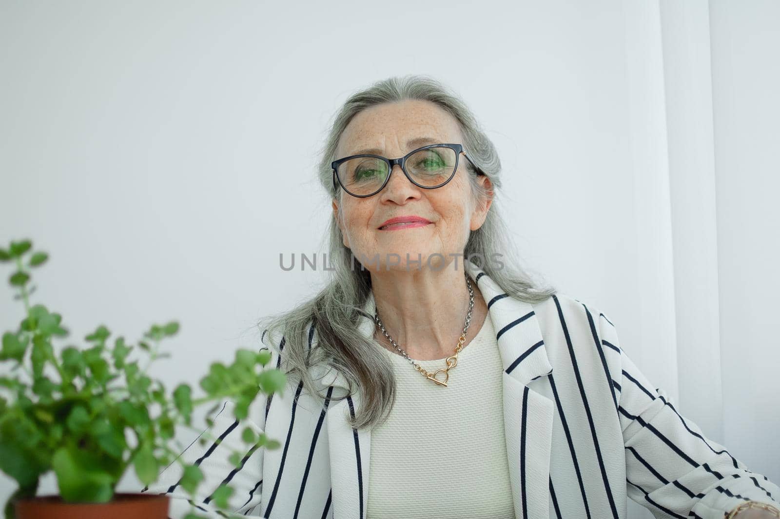Senior grey haired businesswoman in striped jacket with eyeglasses is working in her office sitting at the desk. Happy retirement, employment and labor by balinska_lv