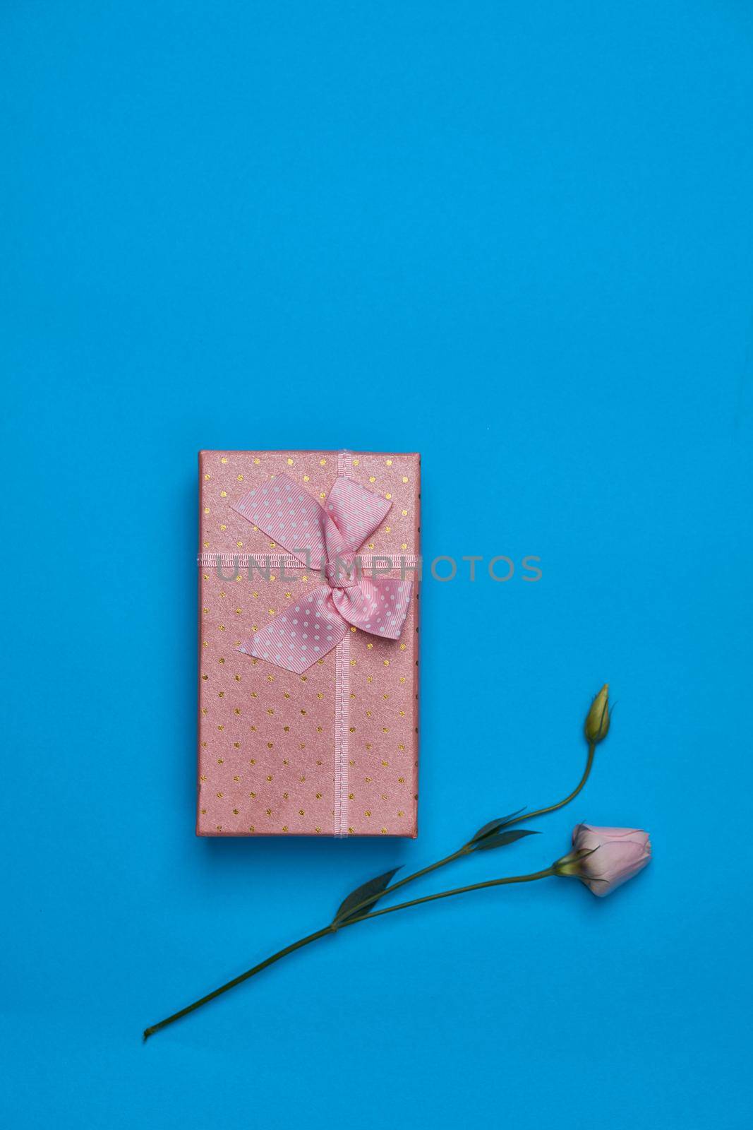 birthday gift holiday decoration blue flowers background. High quality photo