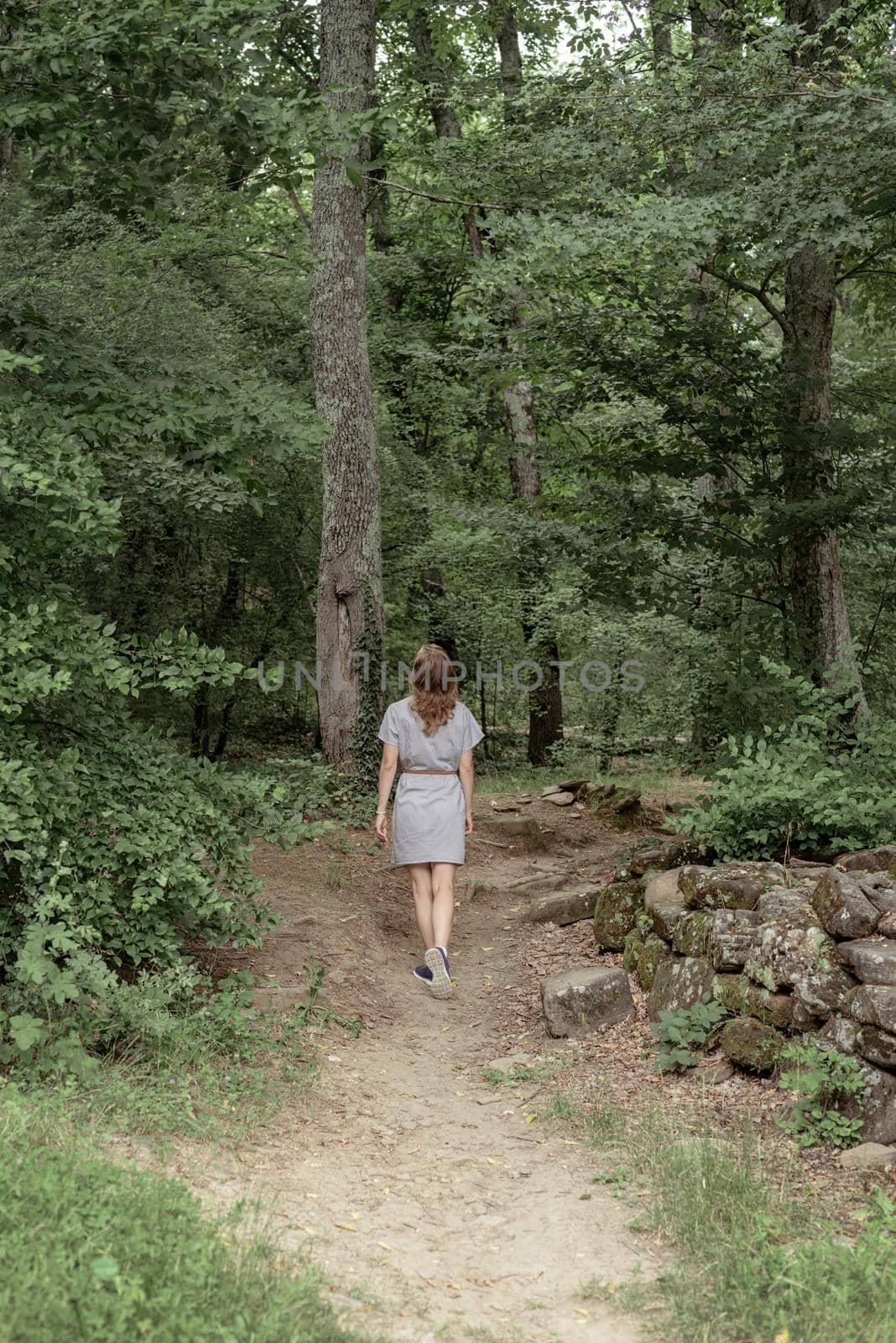 Back view of a woman walk along the forest in the early misty morning by Desperada