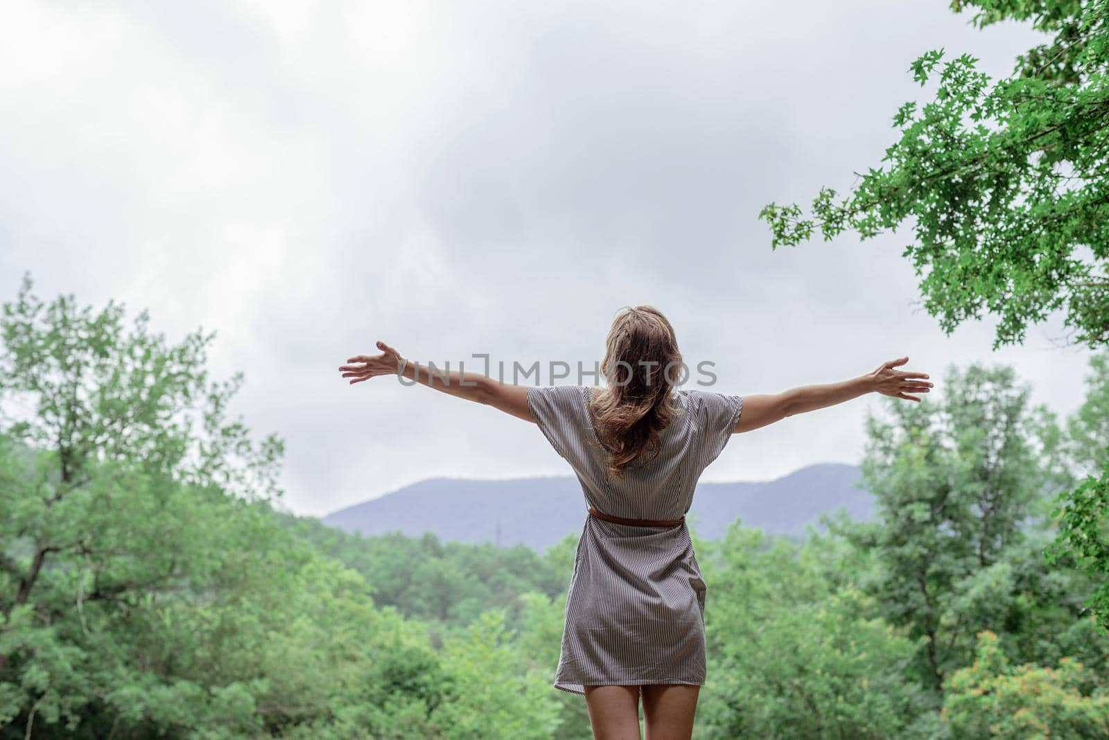 Travel and freedom concept. Back view of a young woman in summer dress standing on a big rock in the forest looking away