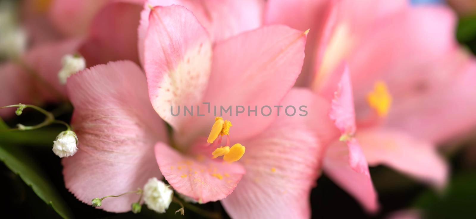 Festive bouquet of assorted flowers including pink alstroemeria