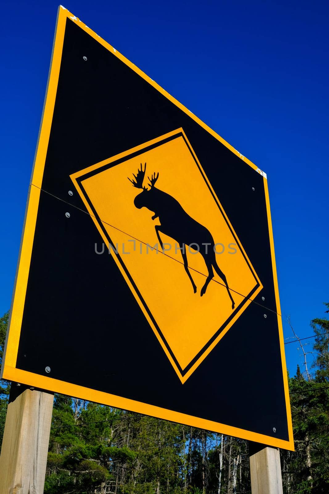 Low-angle view of a large moose crossing warning sign in Algonquin Park, Ontario, Canada.