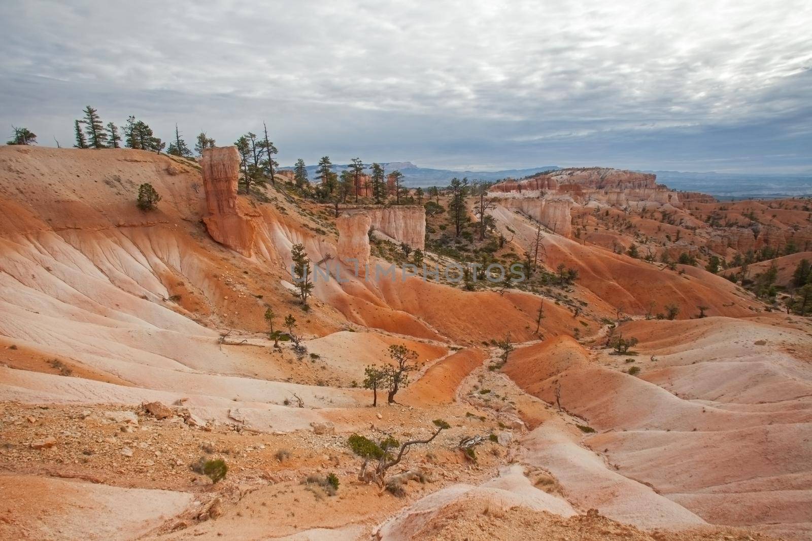 View over Bryce Canyon from the Queens Garden Trail