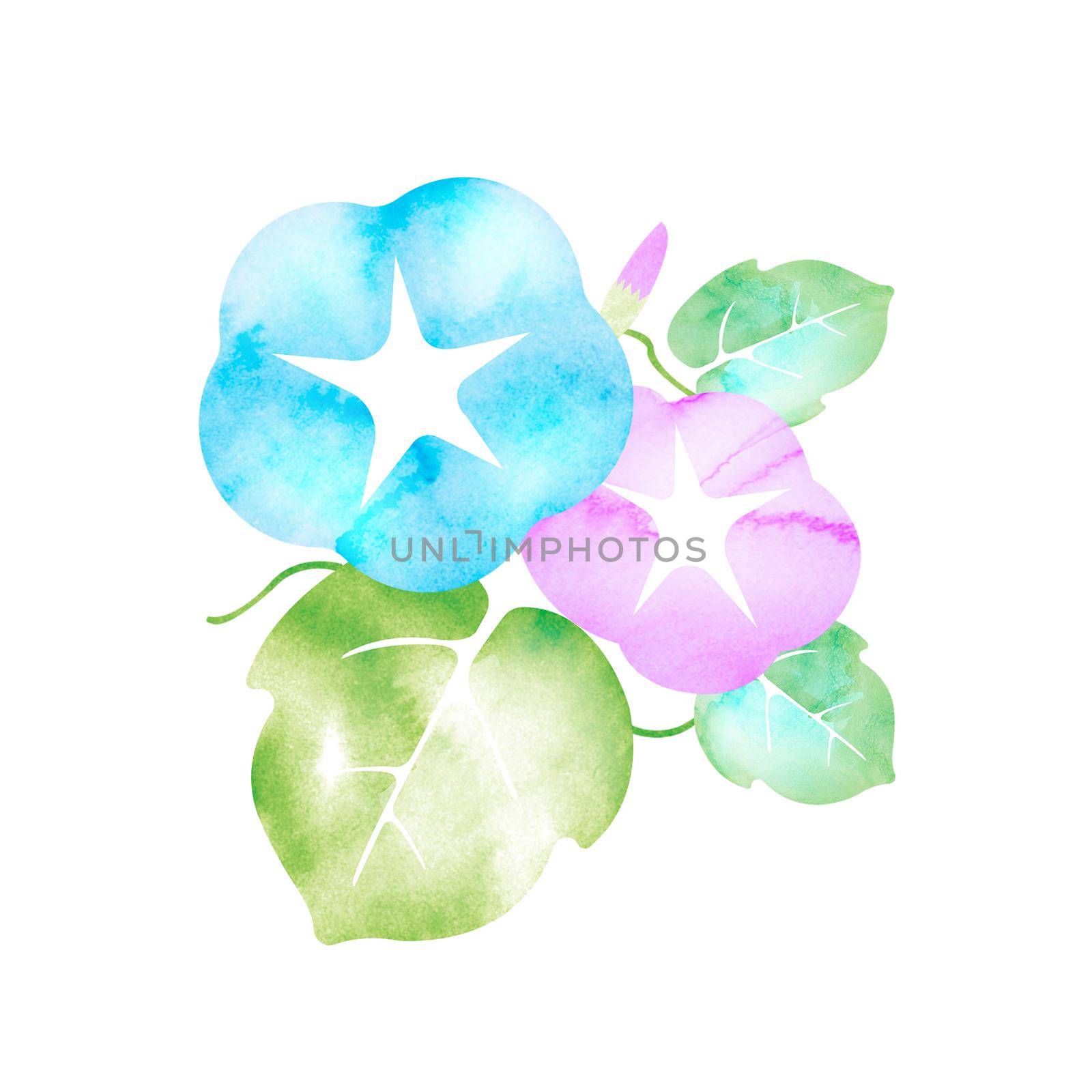 Summer motif watercolor painting illustration for summer greeting card etc. | morning glory flower by barks