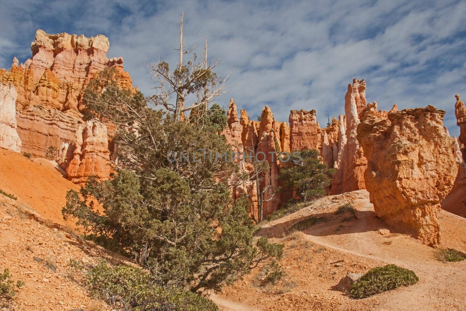 Bryce Canyon landscape 2461 by kobus_peche