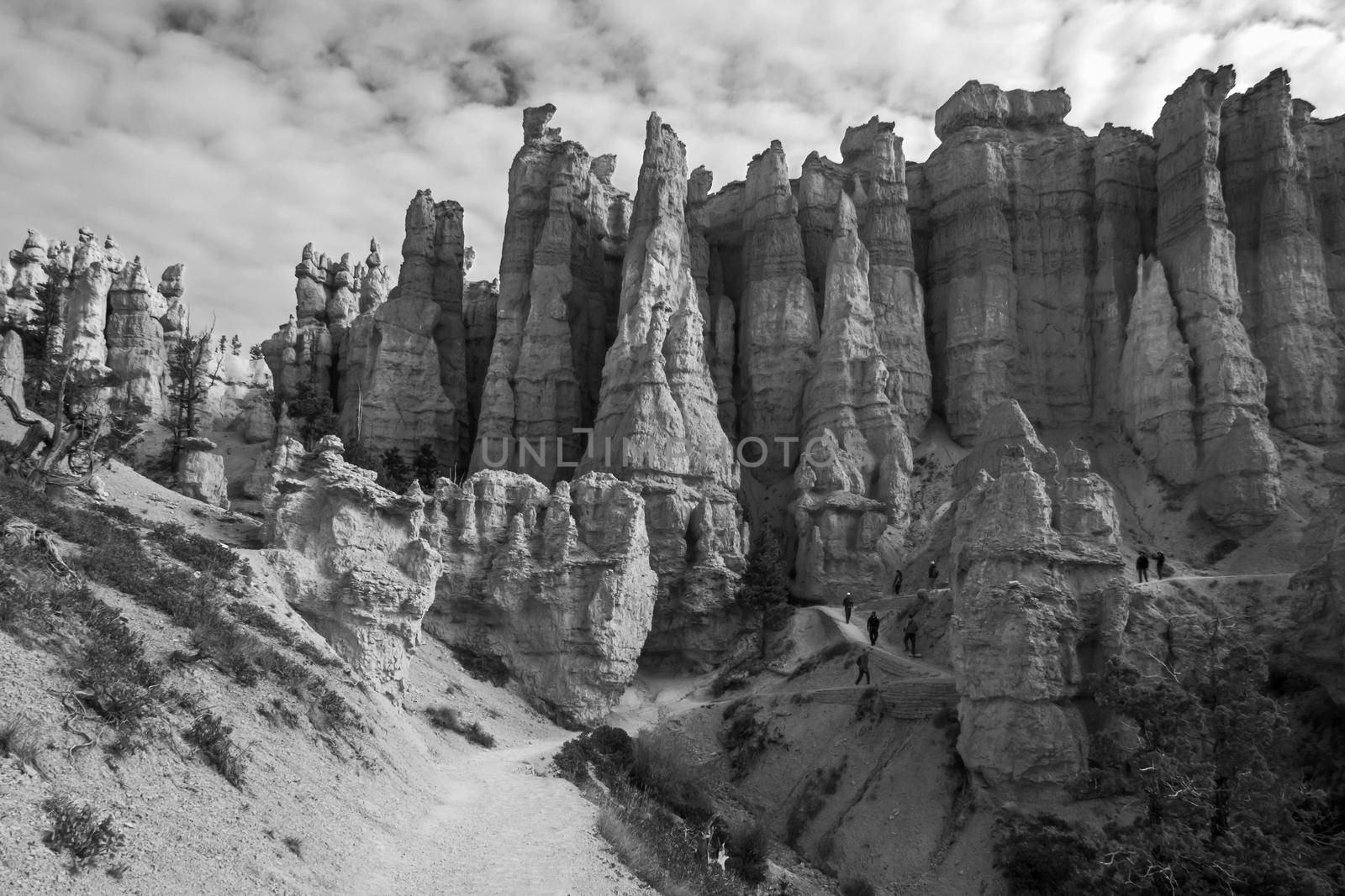 Monochrome image of the view over Bryce Canyon from the Queens Garden Trail