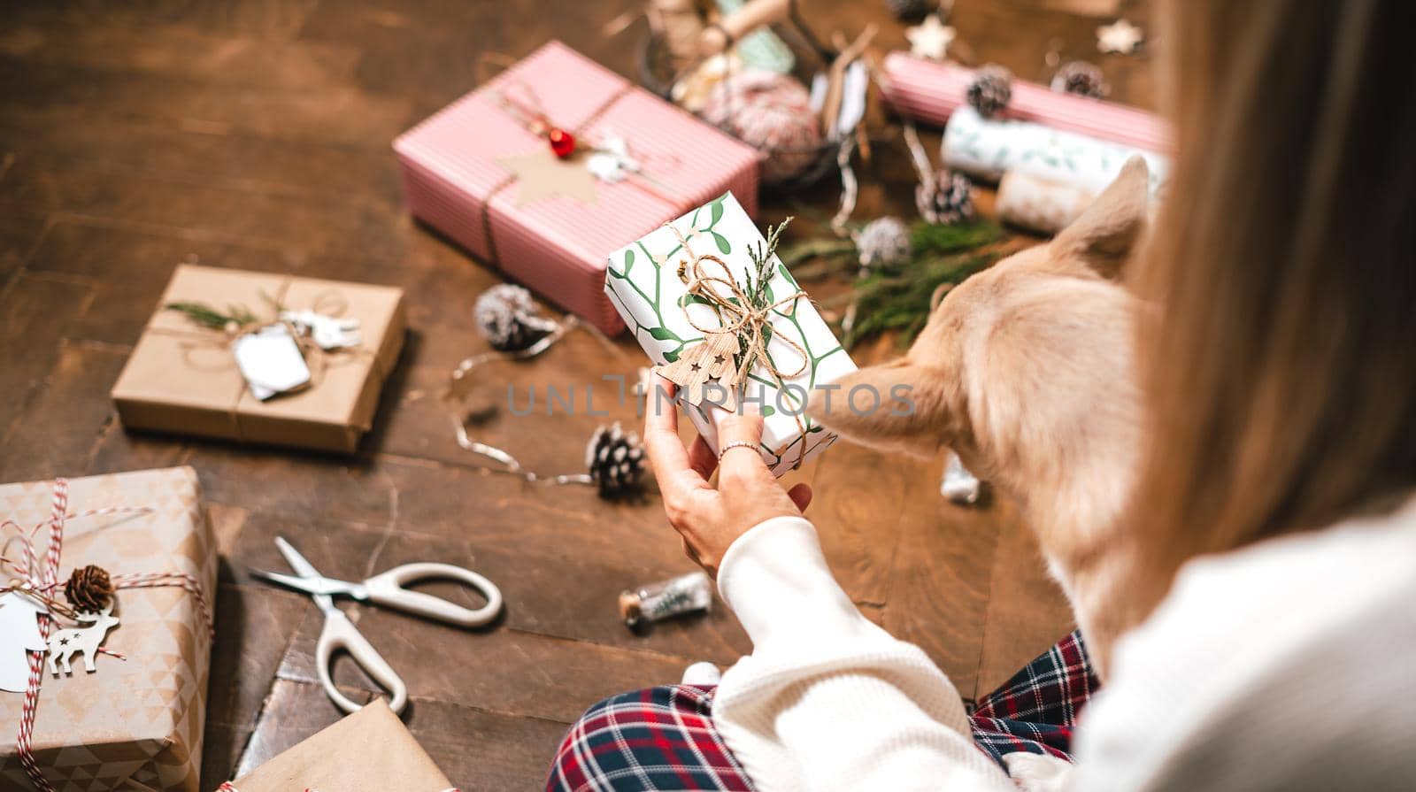 Woman with puppy dog wrapping Christmas gift boxes, close up. Cropped female sit and preparing natural eco presents on floor with decor elements. Merry Christmas or New year DIY packing Concept.