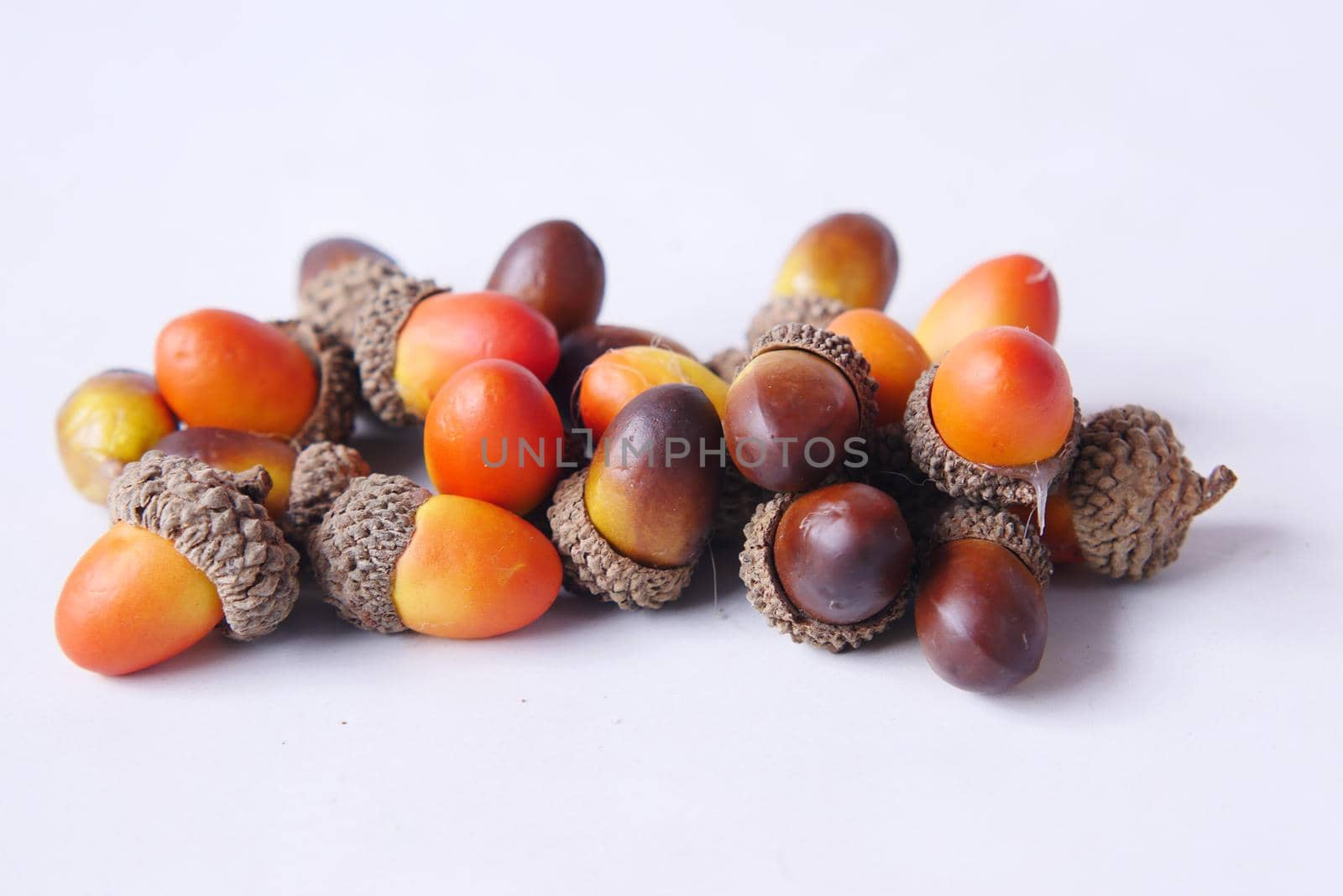 close up of acorns on white background .
