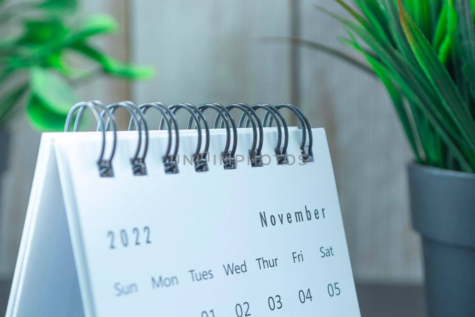 Blurred white September 2022 calendar with potted plant. 2022 New Year Concept