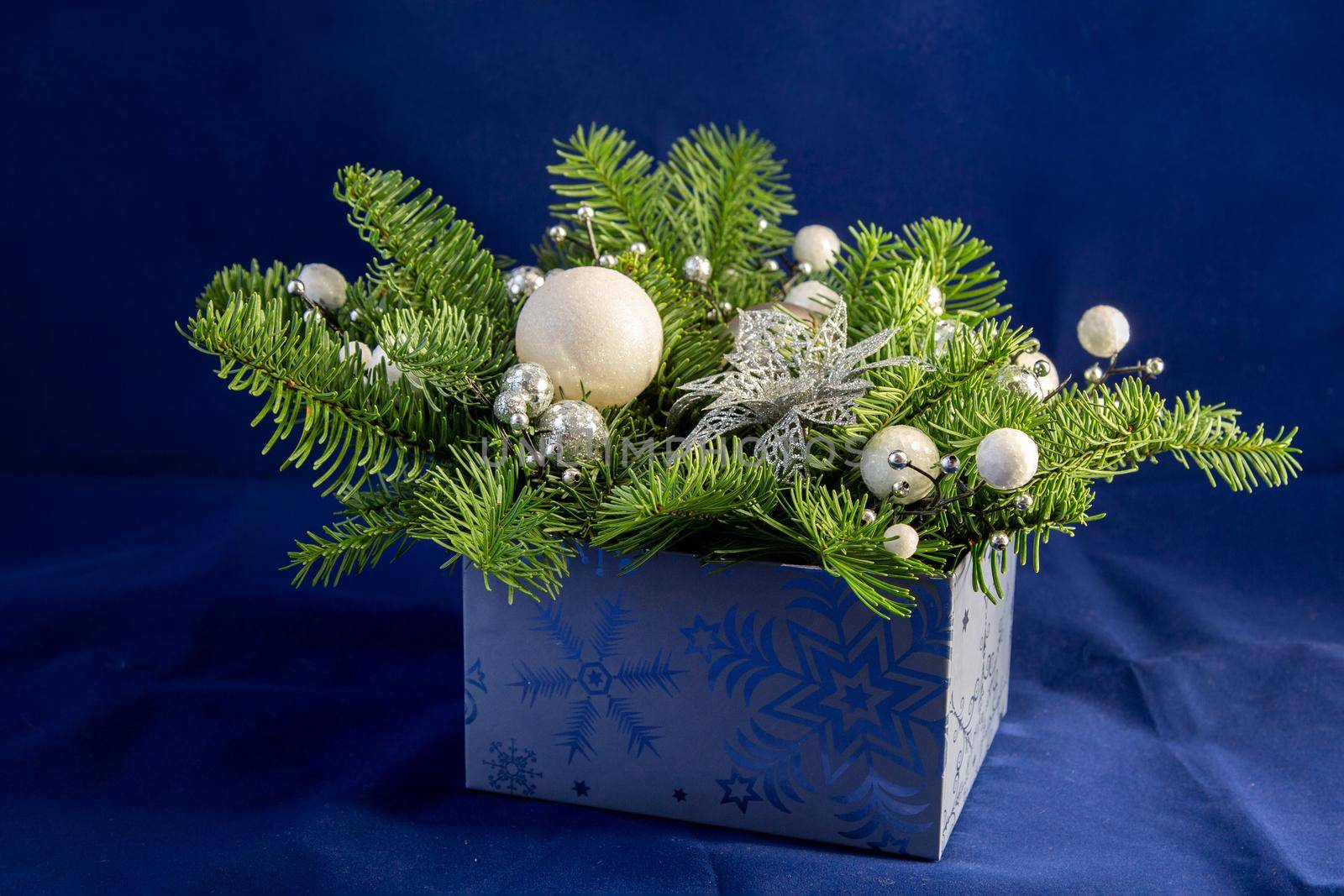 Christmas composition with conifers in yokes and white balls in a blue box on blue background by Mariaprovector