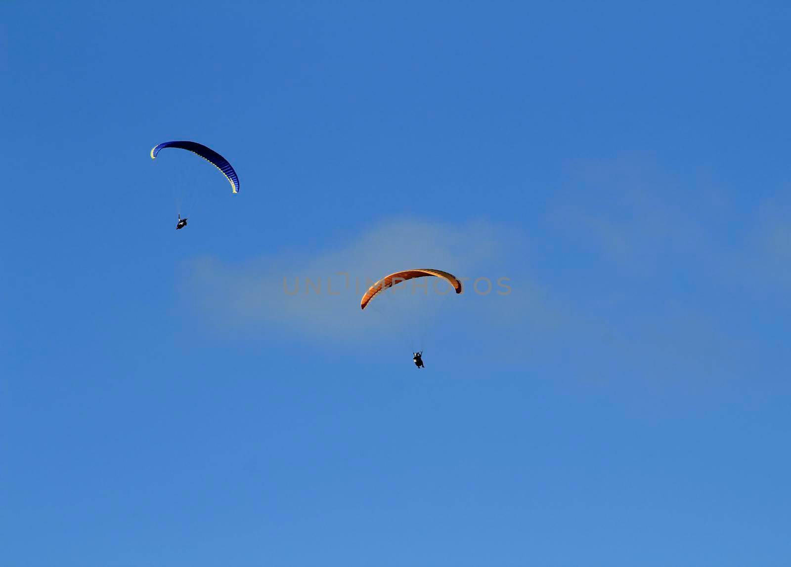People paragliding in Santa Pola on a sunny day of Autumn