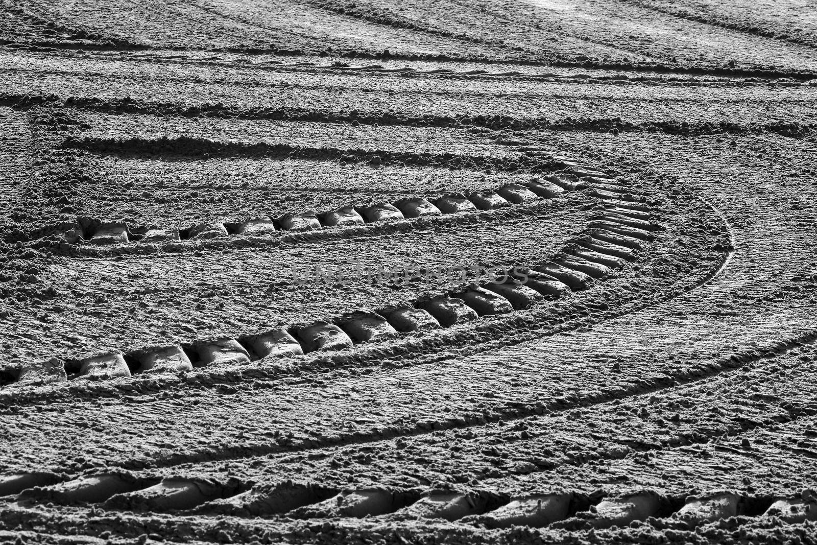 Sand racked texture on the beach in the morning