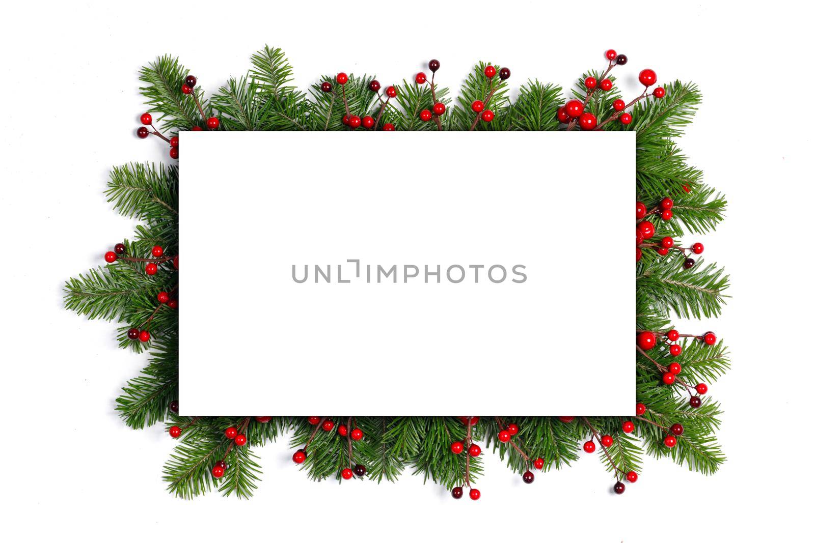 Frame of pine tree and red berry decoration isolated on white background for the text and invitation card for Christmas tradition