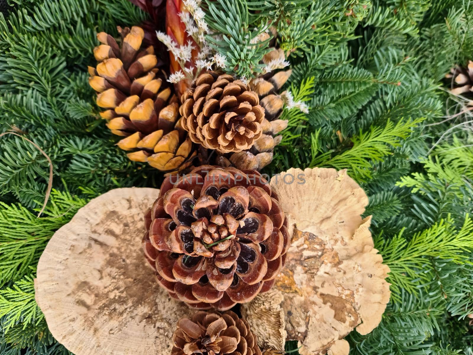 Selective focus of a beautiful arrangement of fir branches and cones at Christmas time