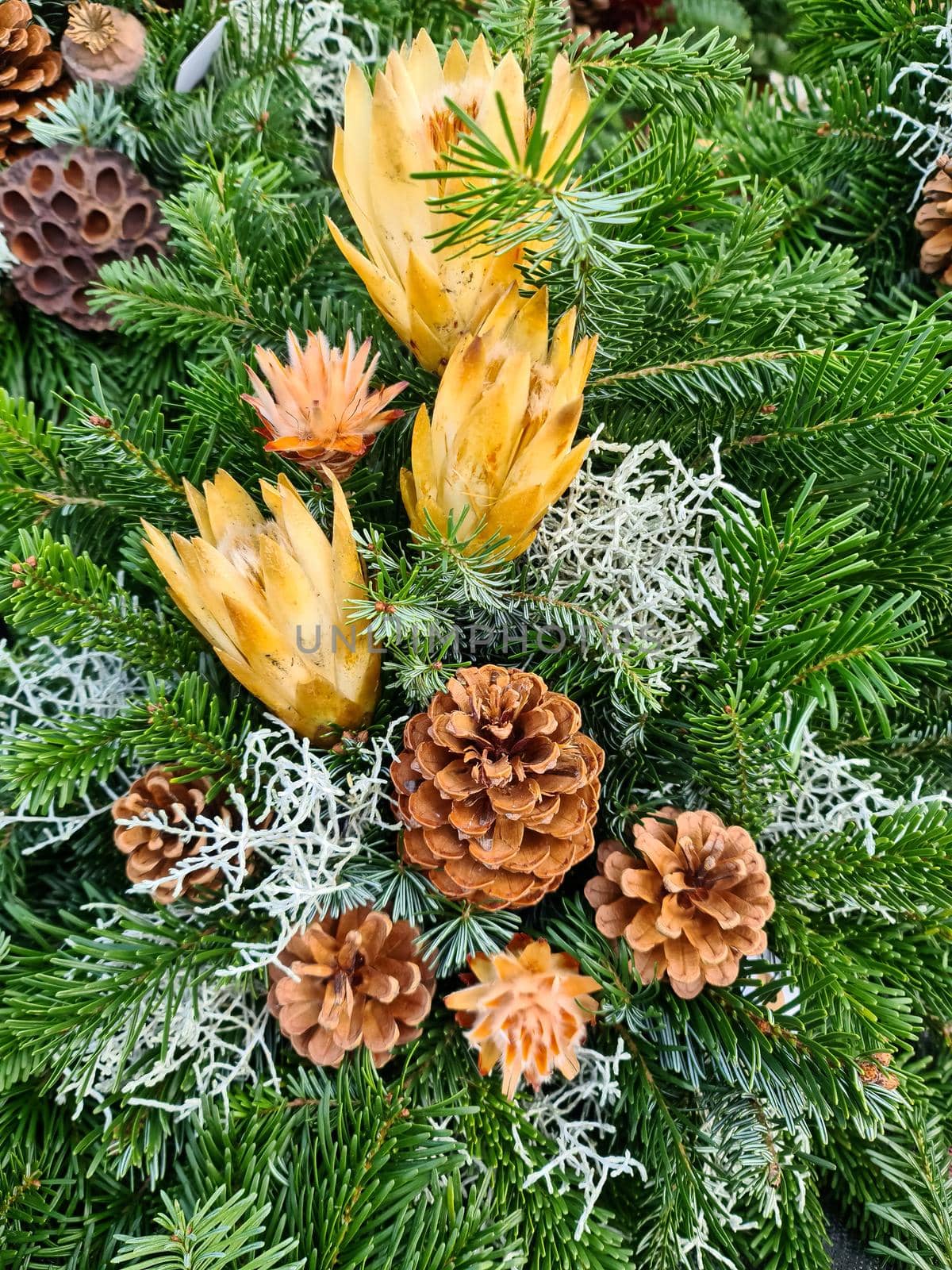 Selective focus of a beautiful arrangement of fir branches and cones at Christmas time. by MP_foto71