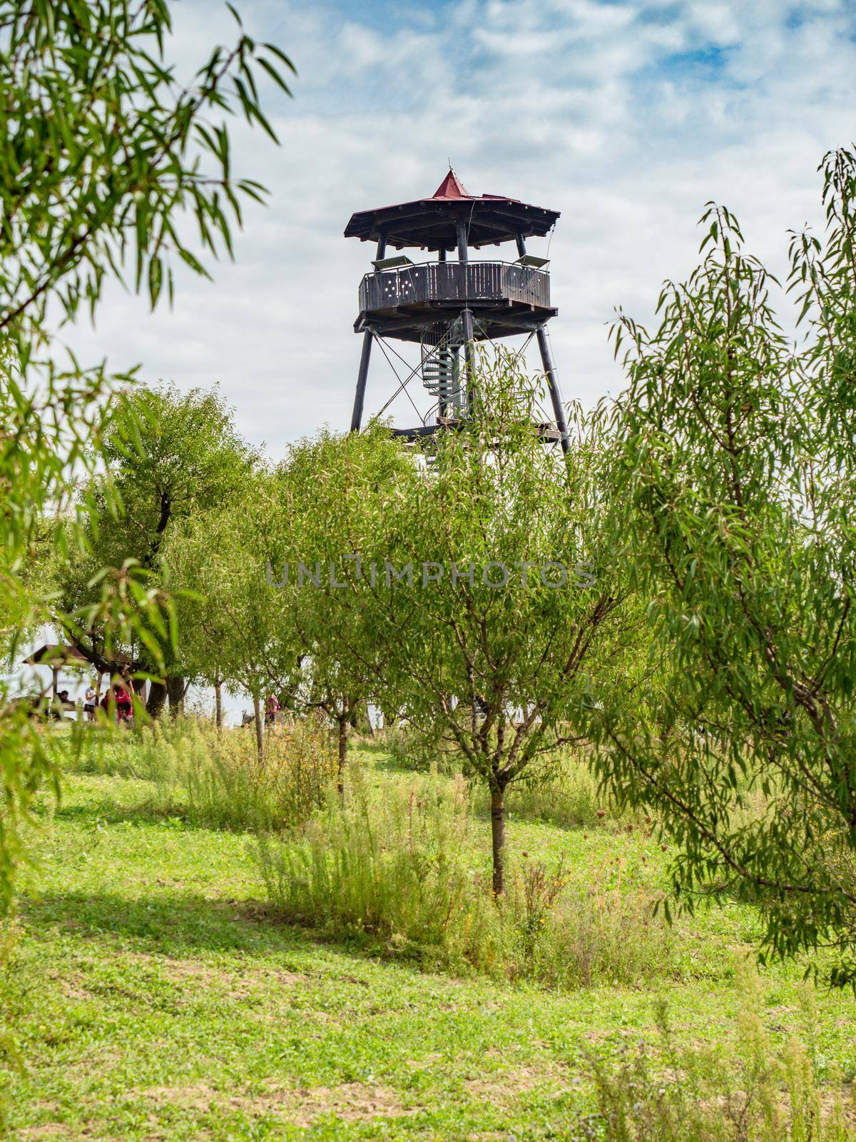 The lookout tower in the Mandlonove sady , almond orchard at Hustopece town, Czech Republic. The history of almond growing in our territory dates back to the 17th century.