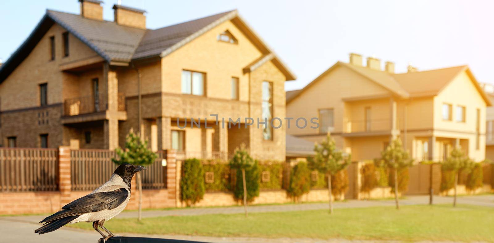 two double decker beautiful houses with raven on front . High quality photo