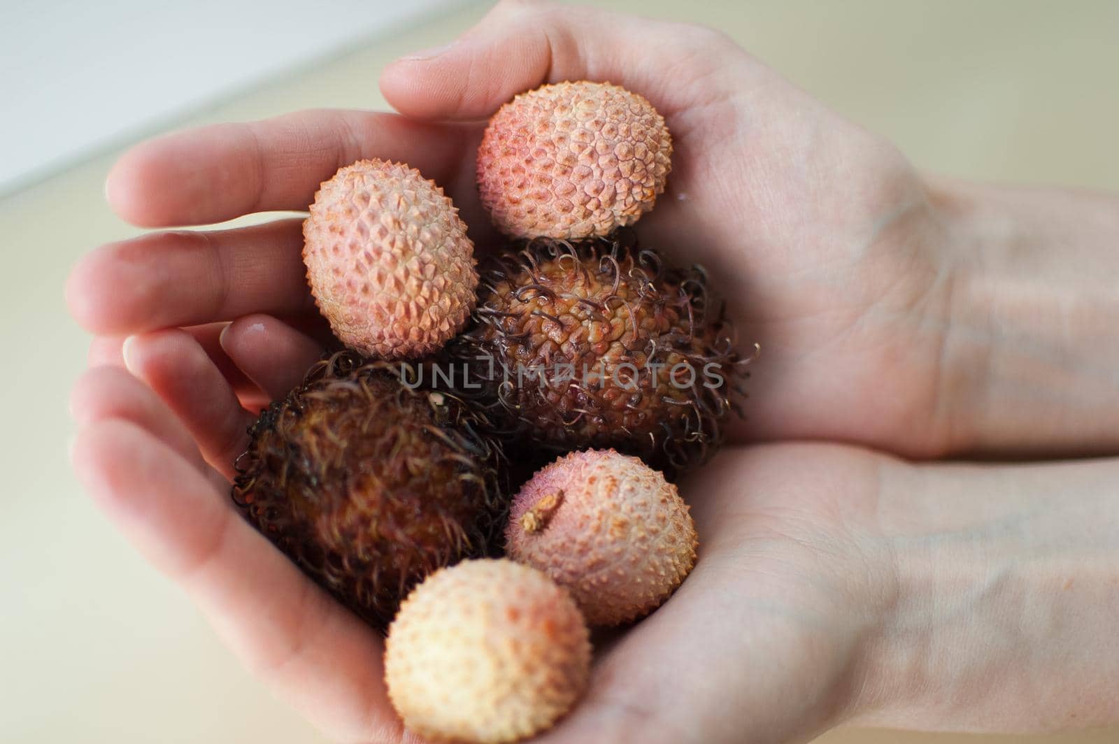 Female hands are holding exotic ripe rambutan and leechy or lychee fruits. Healthy food, fresh organic fruit. by balinska_lv