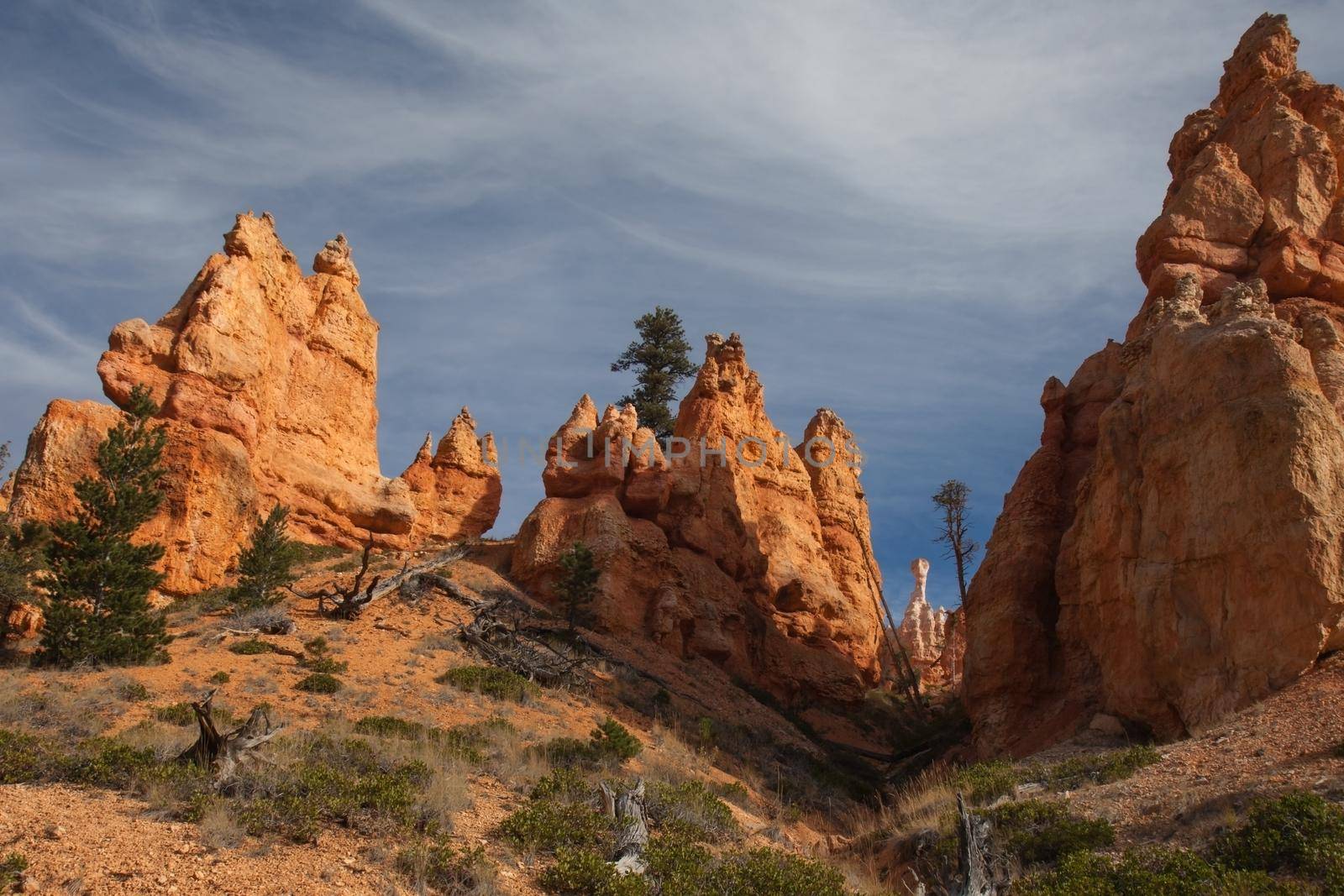 View of the Bryce Canyon landscape seen from the Queens Garden Trail / Navajo Loop