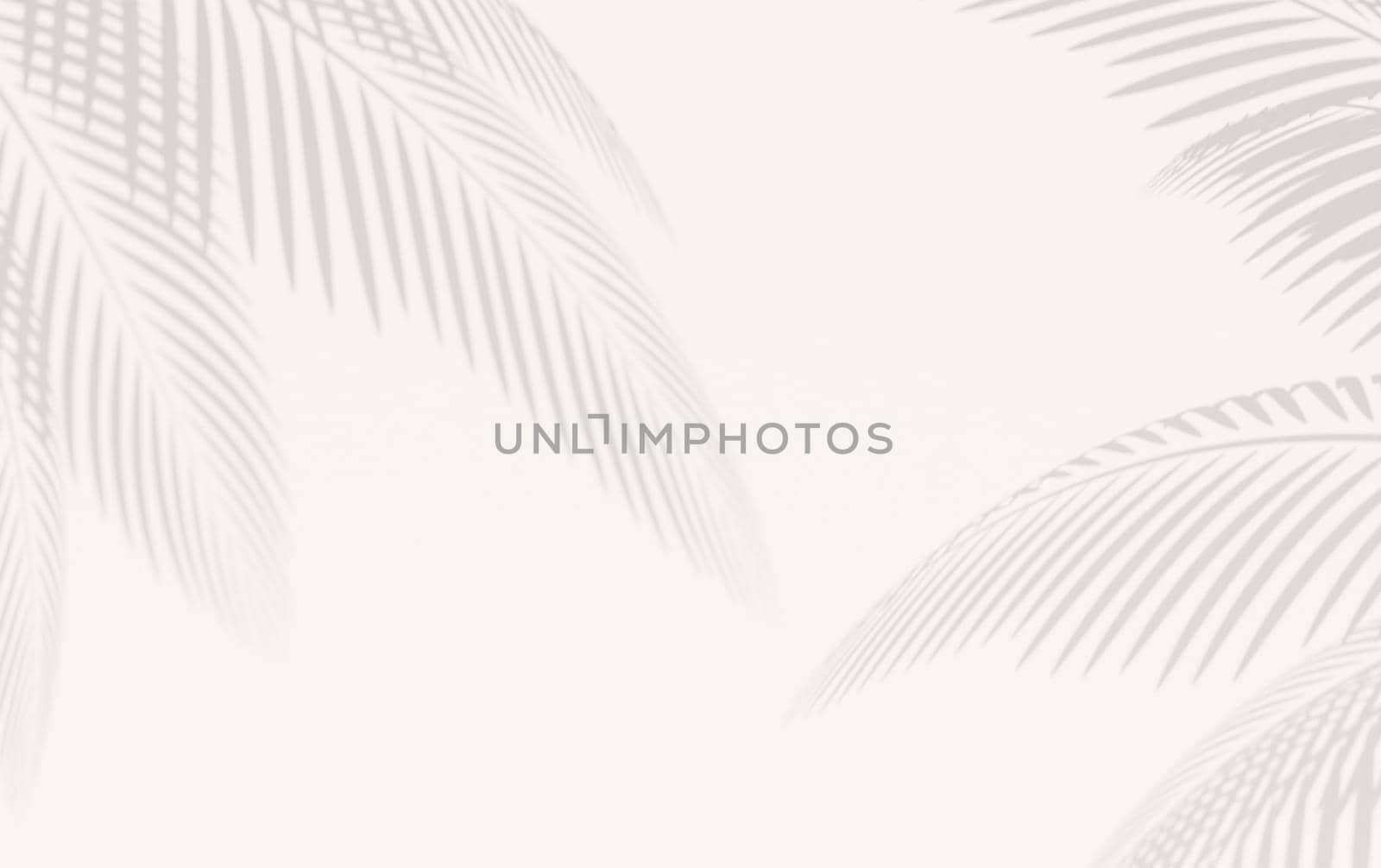 white background with defined shadow of palm leaves. 3d rendering