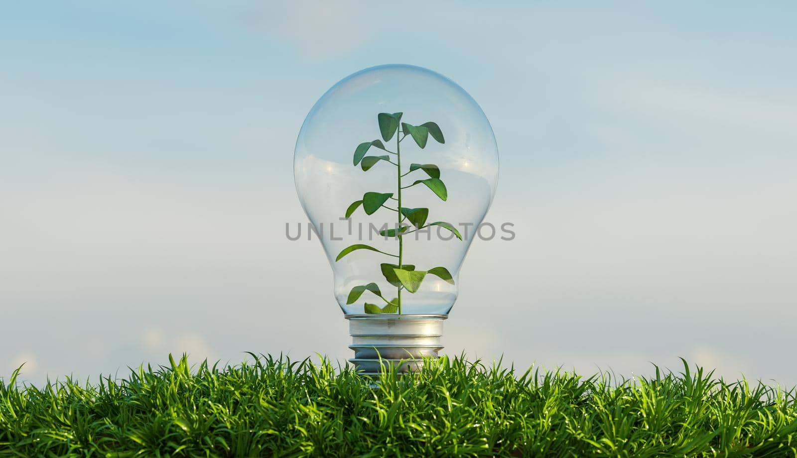 glass bulb on a ground full of vegetation with a background of clouds and a plant inside it. 3d render