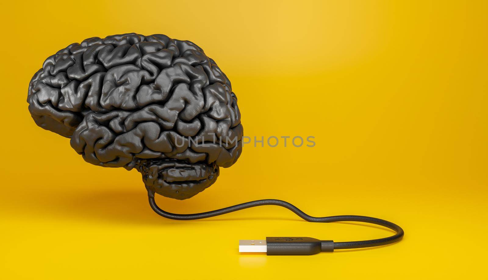 representation of a human brain with usb cable by asolano