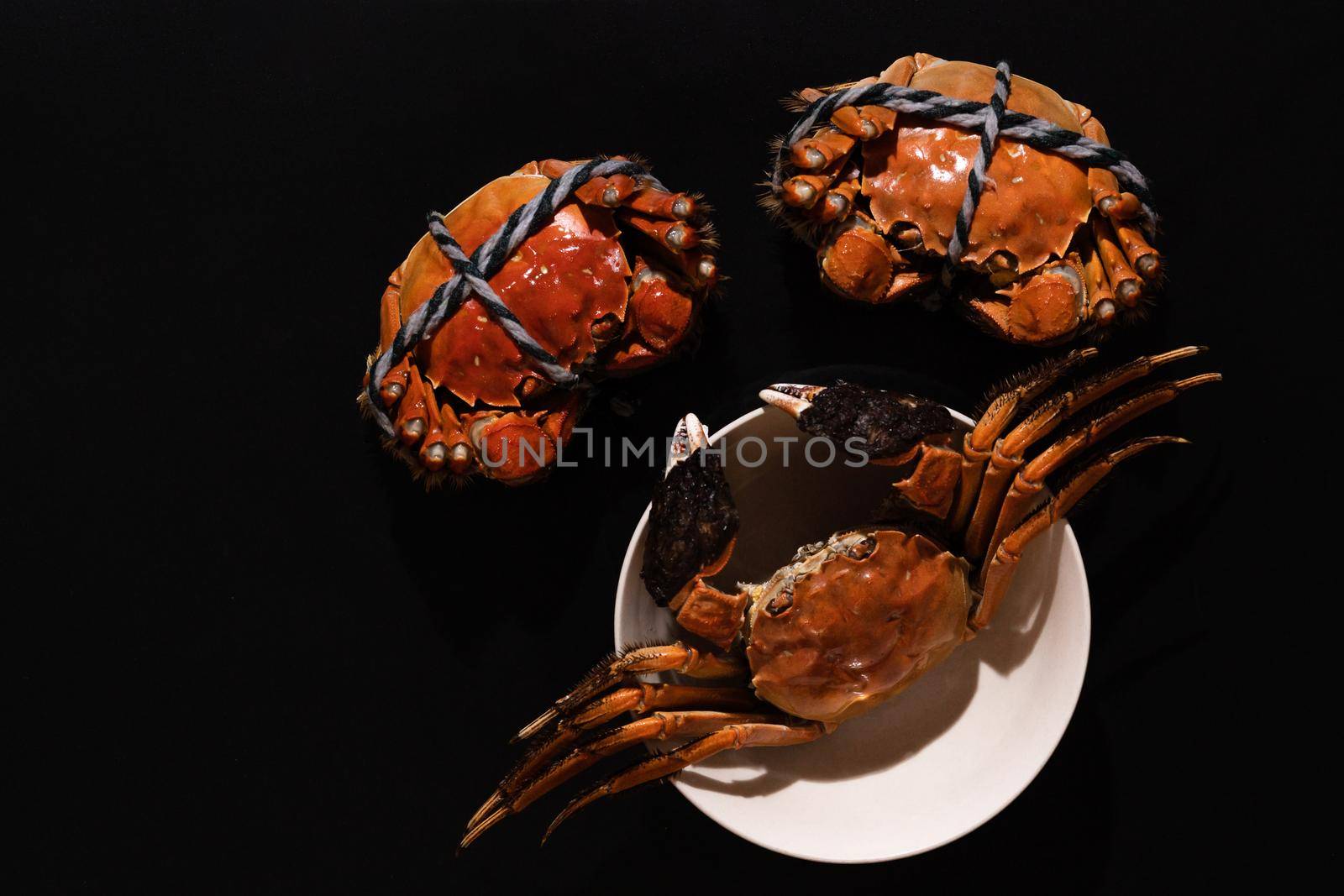 boiled Shanghai hairy crab or Chinese mitten crab (Eriocheir sinensis) with Chili and herb on black background by psodaz