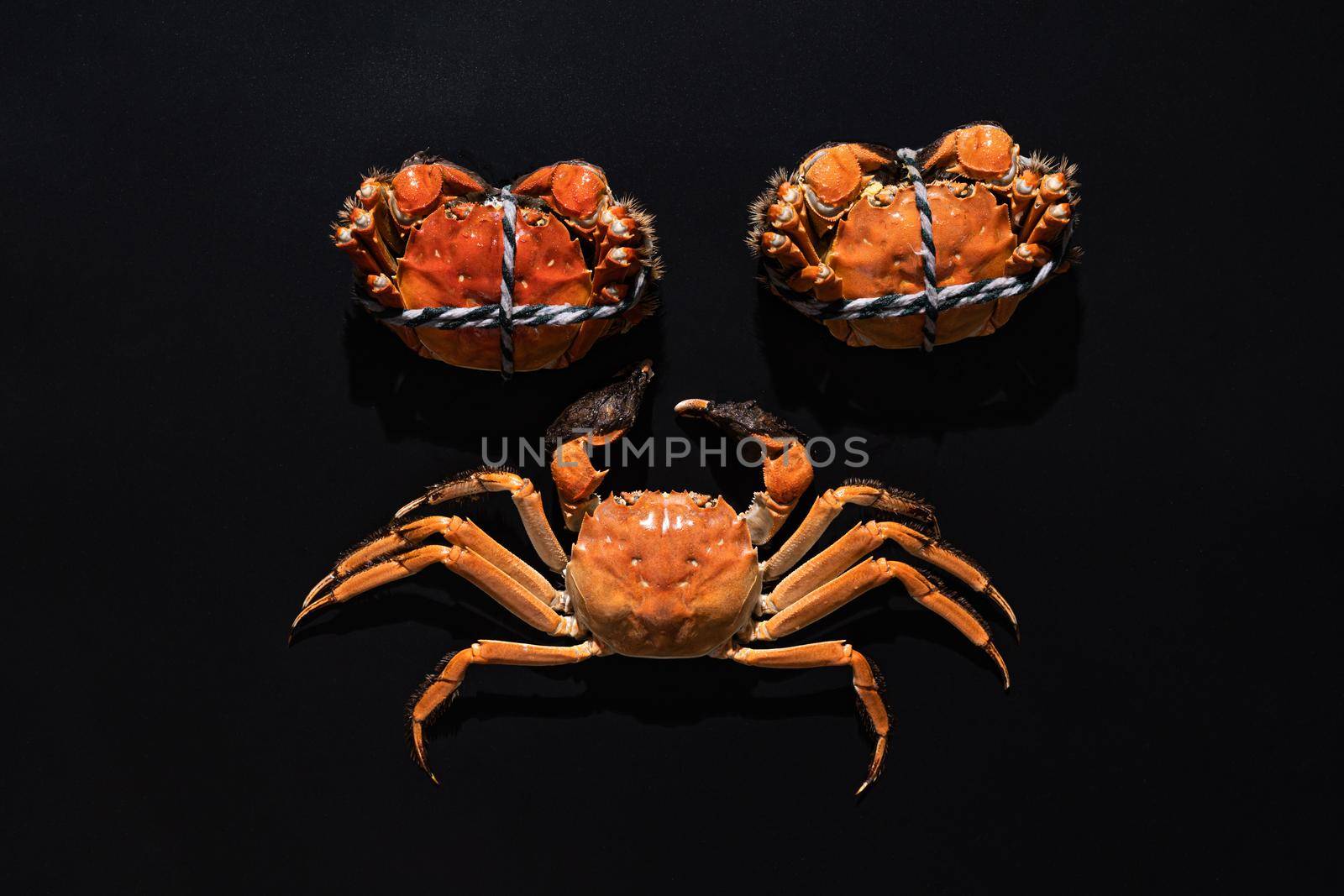 boiled Shanghai hairy crab or Chinese mitten crab (Eriocheir sinensis) with Chili and herb on black background by psodaz