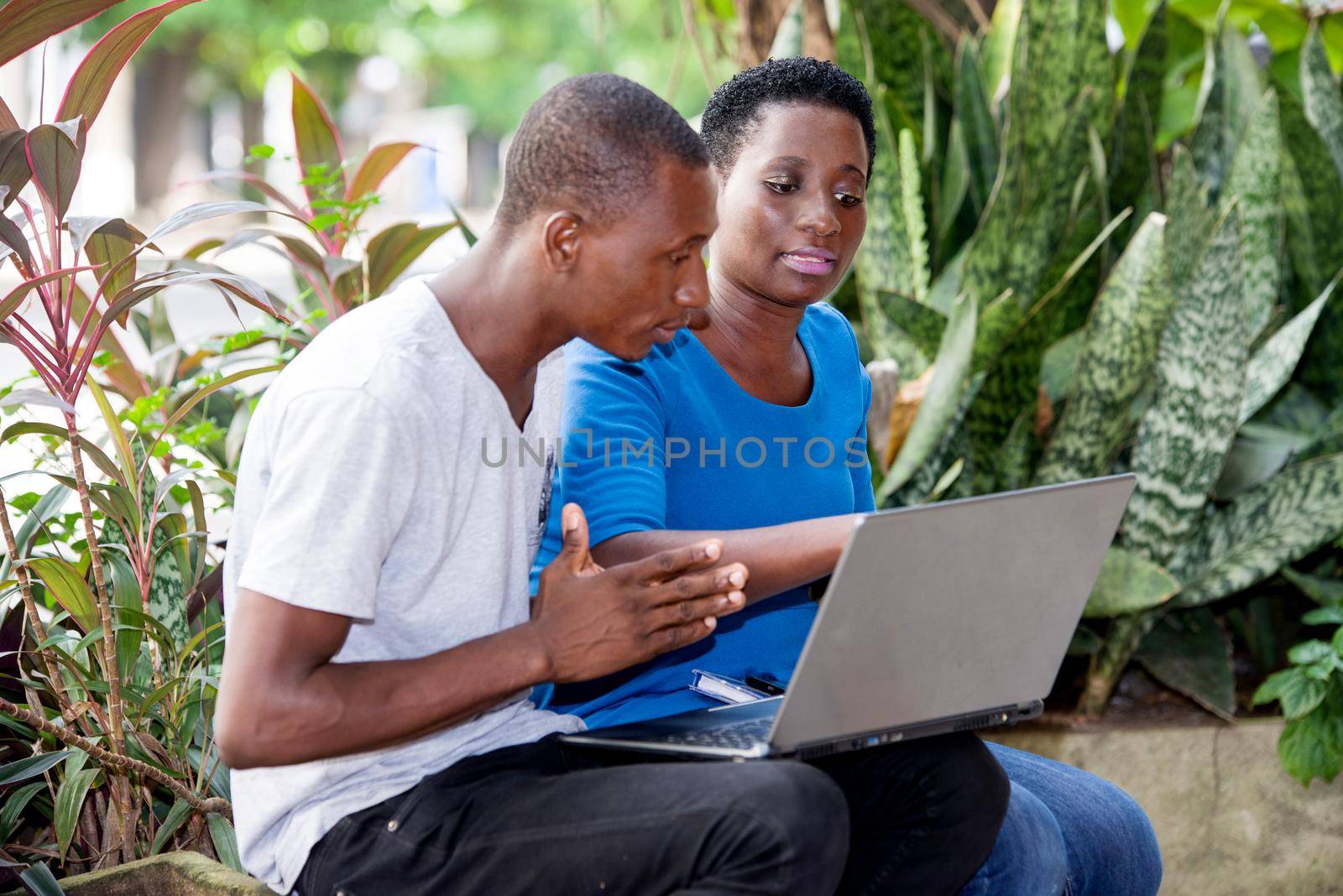 young students sitting in park look at laptop while talking.