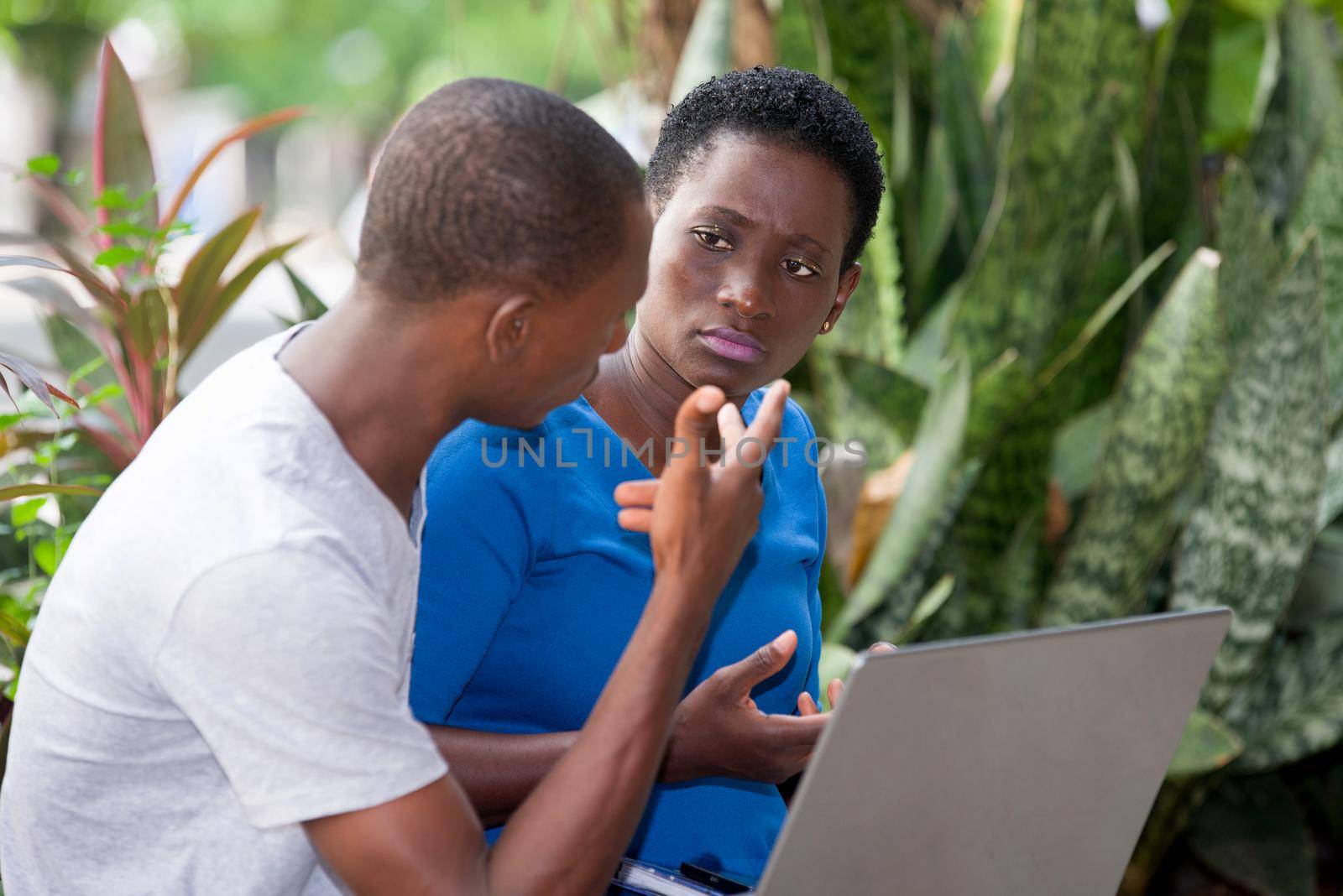 young students sitting in park with laptop doing research.