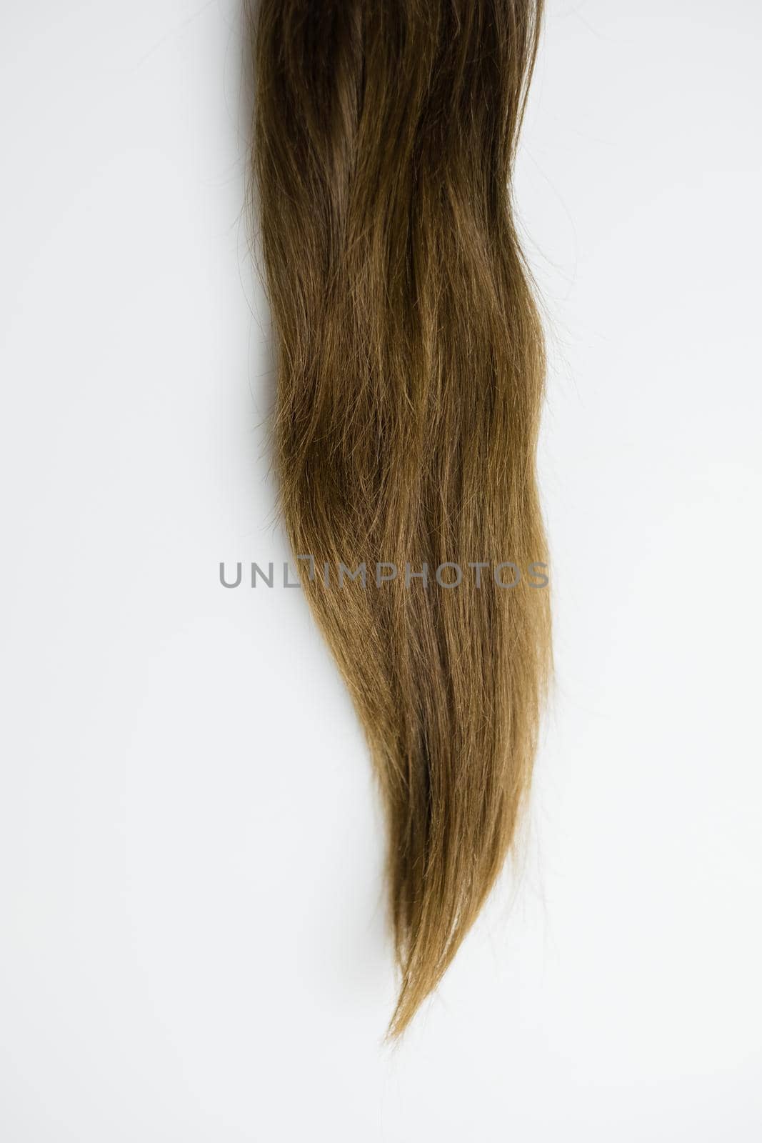 Women's long hair on a white background.