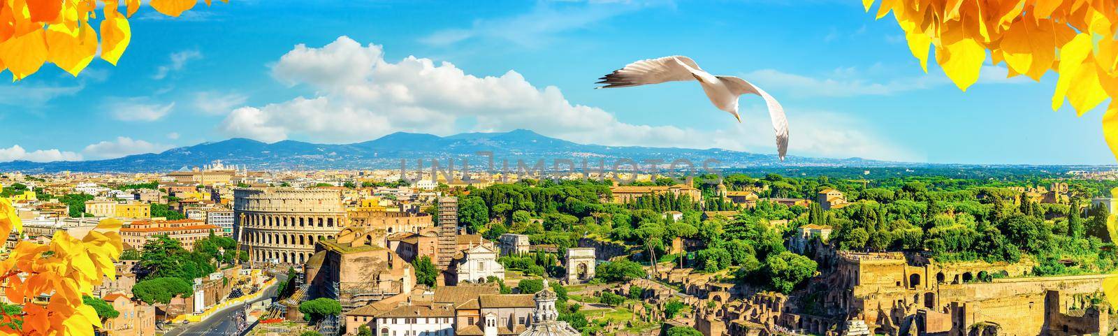 Panorama of Rome from above by Givaga